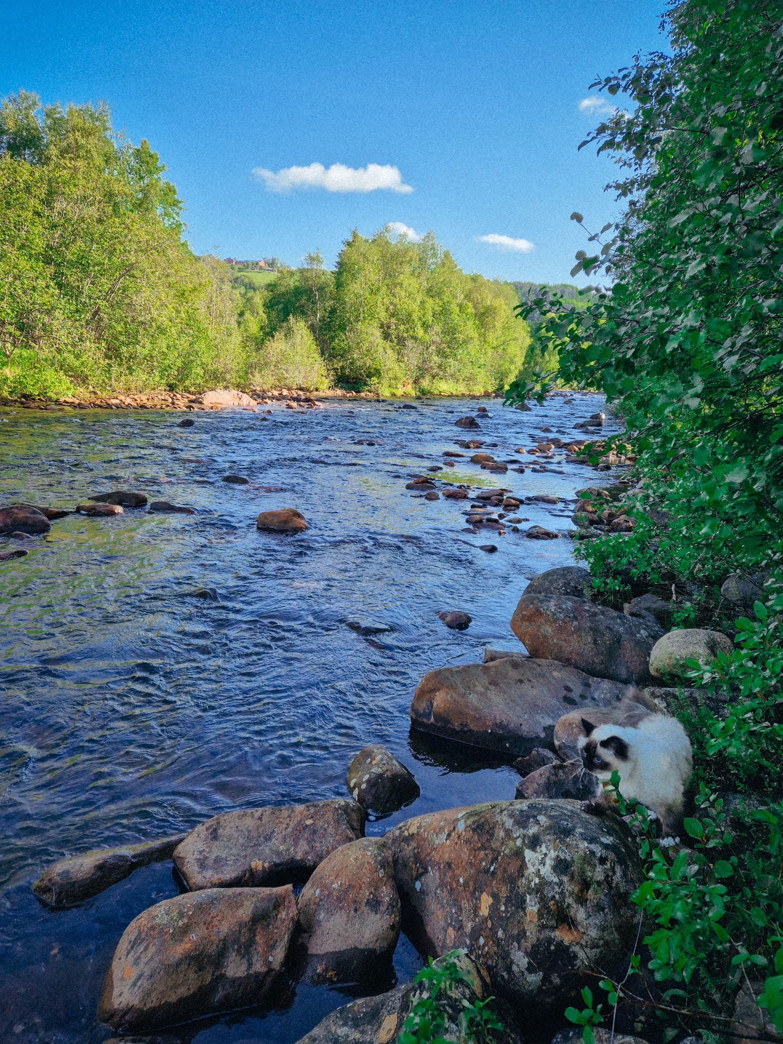 Bekk rett nedenfor hotellet. Galleribilde