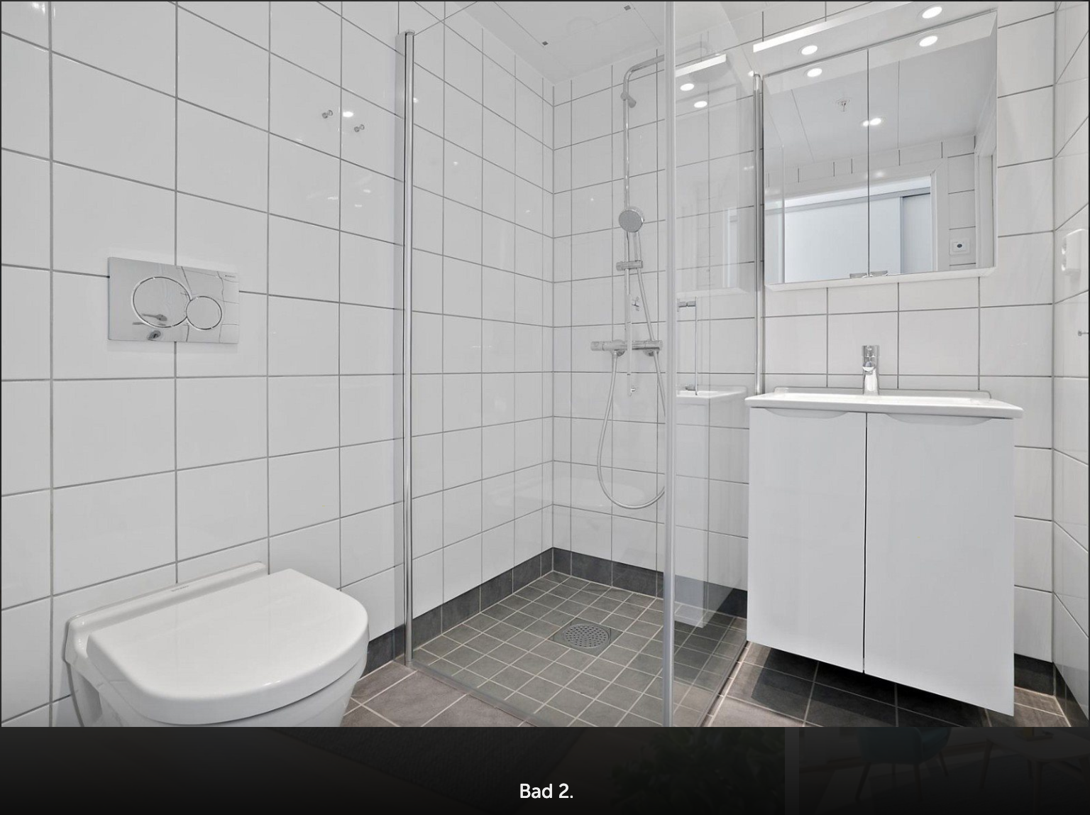 V1A, 5-roms leilighet i 1. etasje, bad II Galleribilde