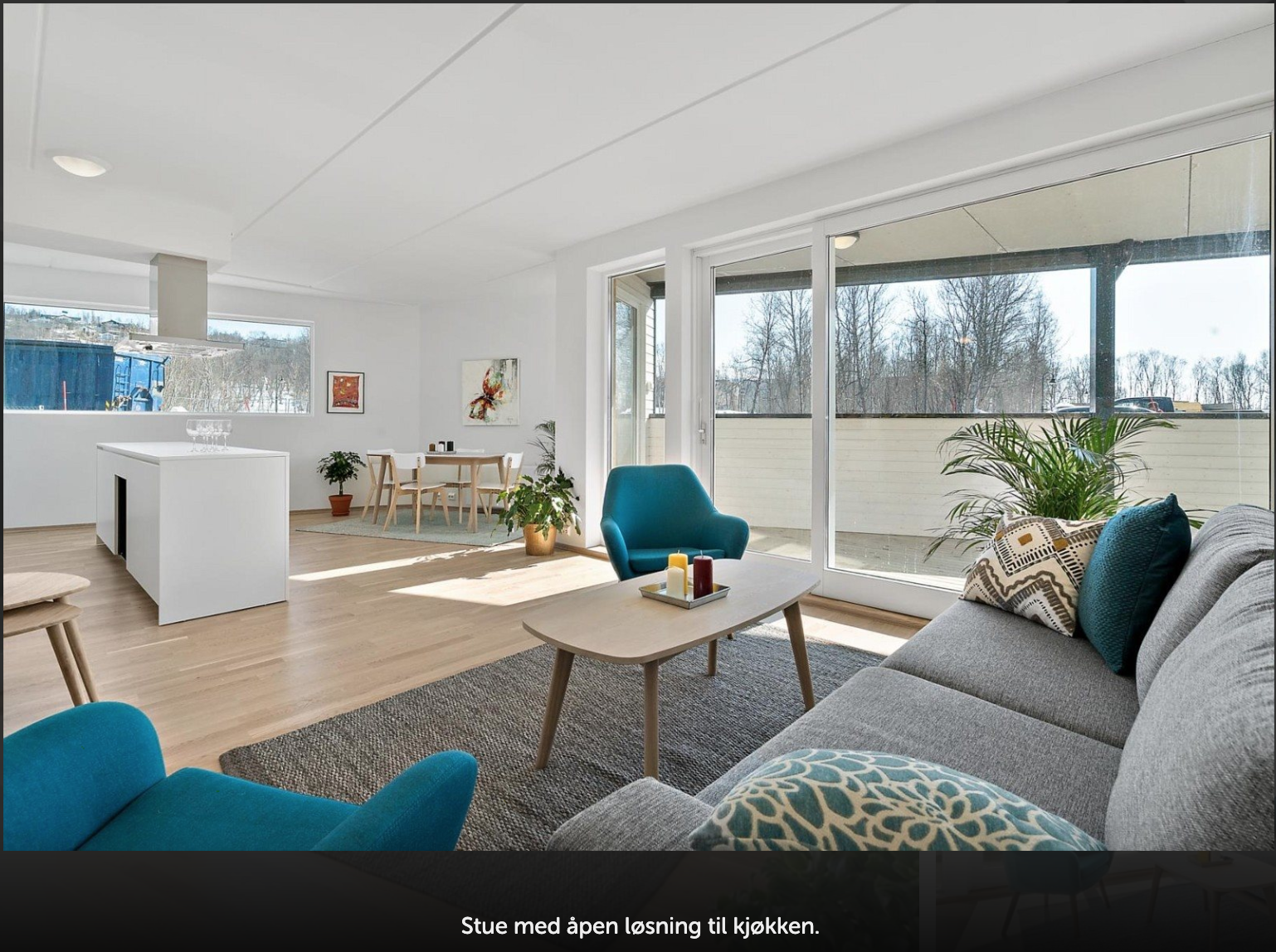 V1A, 5-roms leilighet i 1. etasje, stue/kjøkken Galleribilde