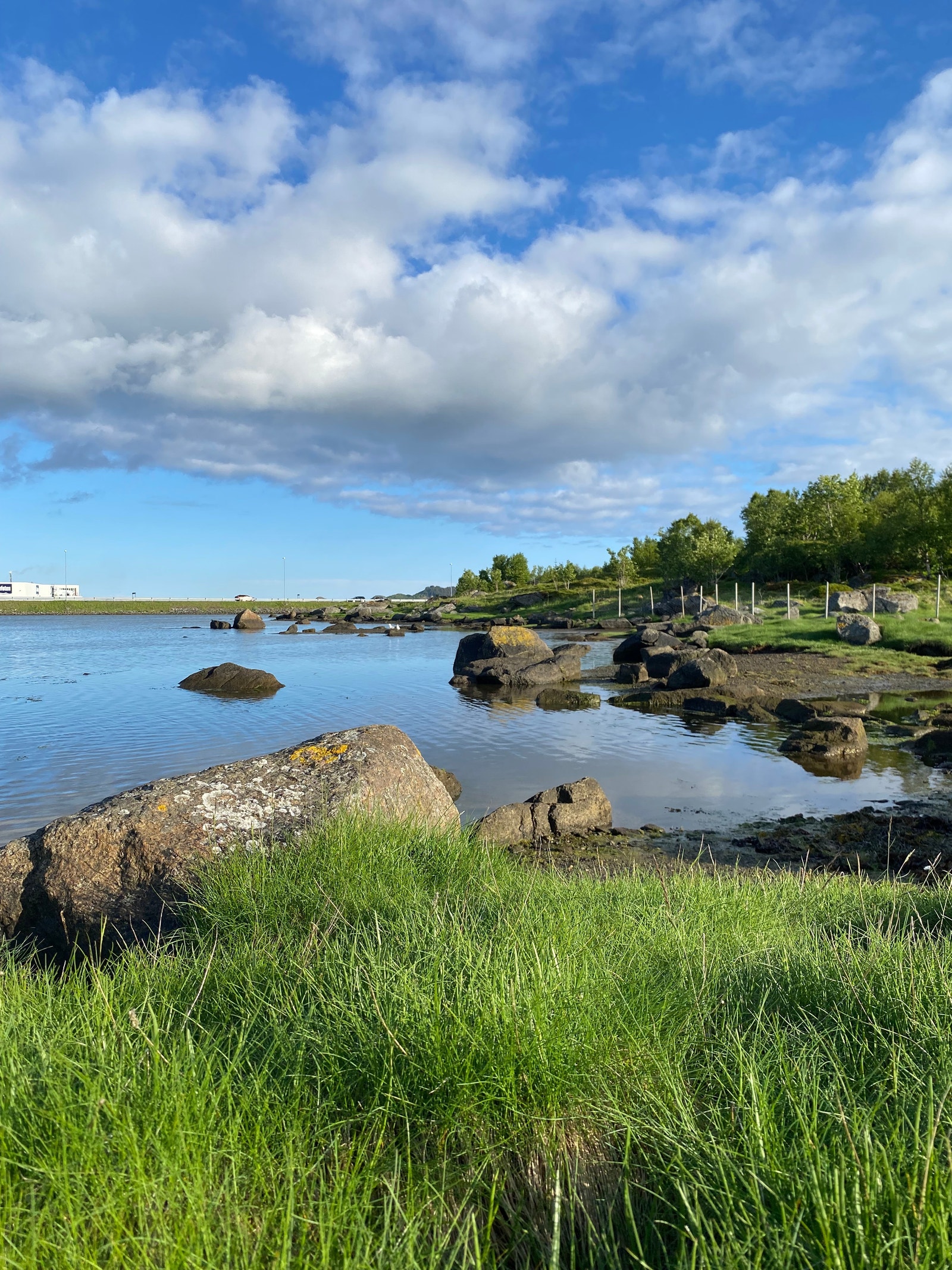 Fint nede ved vannkanten Galleribilde