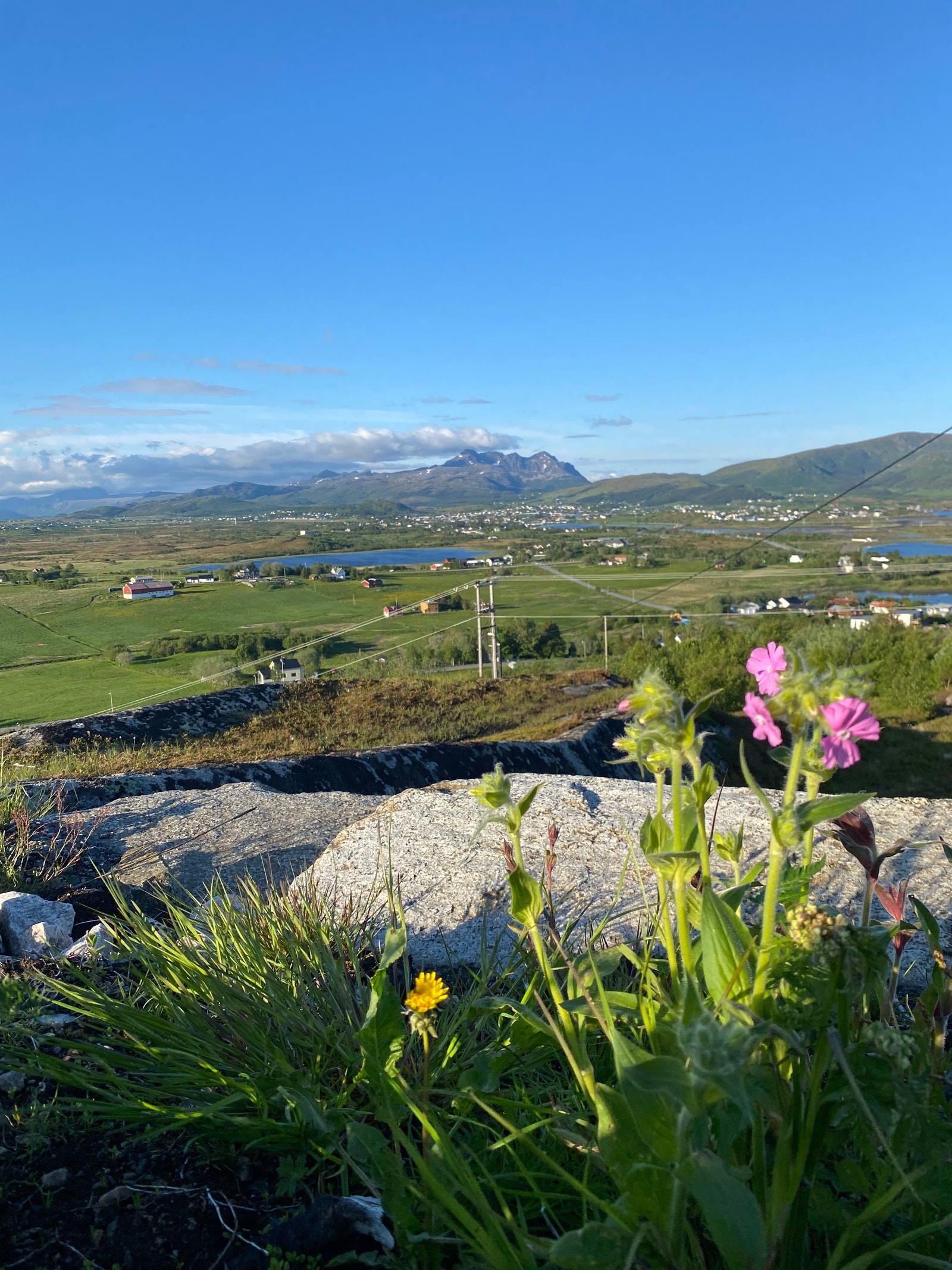 Utsikt fra Haugheia, kort gangvei Galleribilde