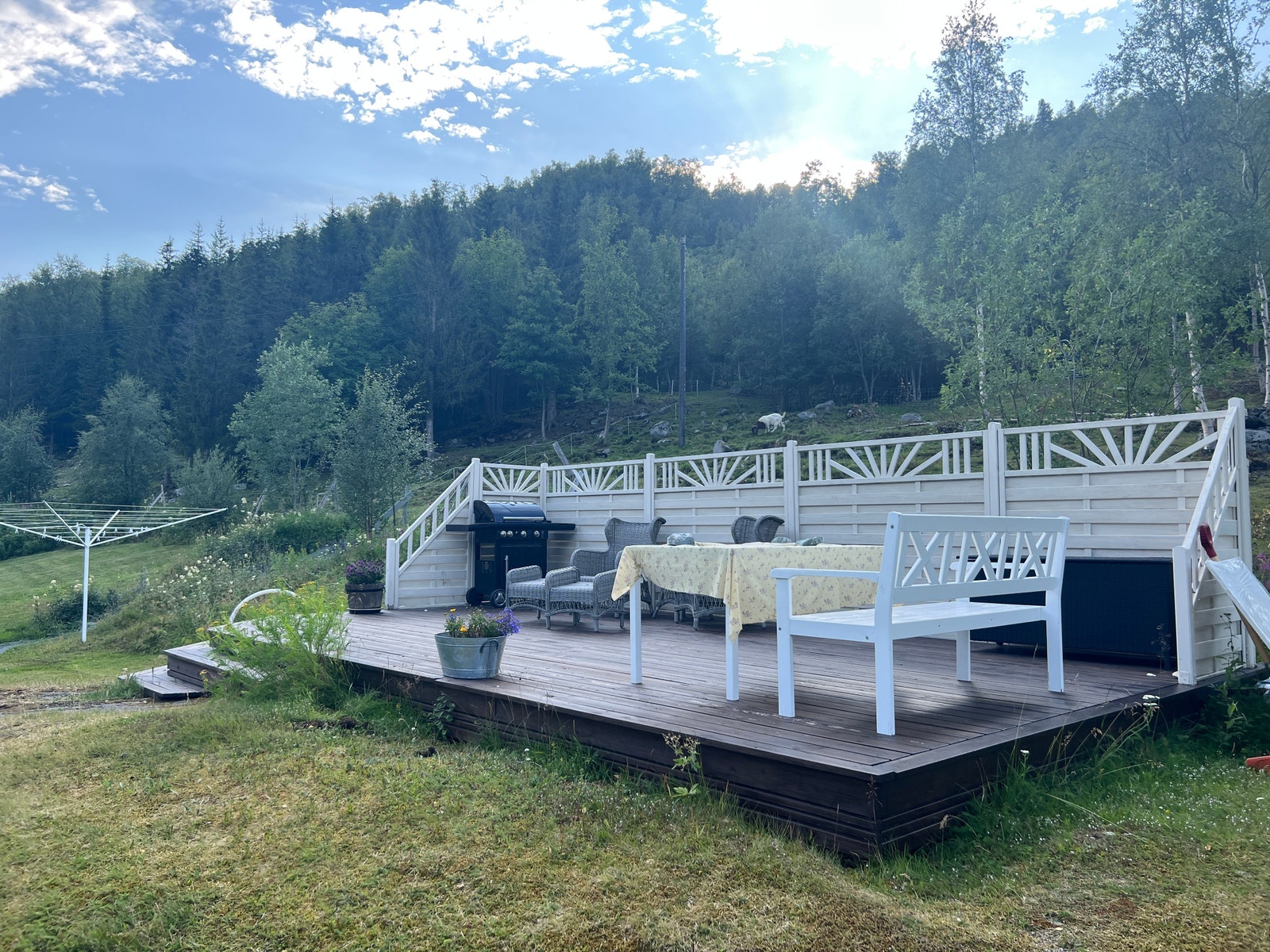 Platt med hagemøbler Galleribilde