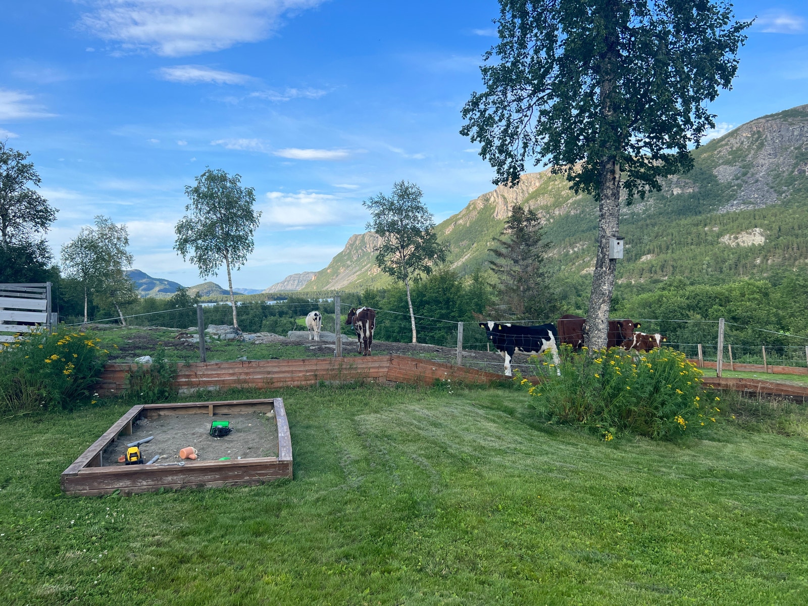 Utsikt nedover dalen med nydelig kveldssol Galleribilde