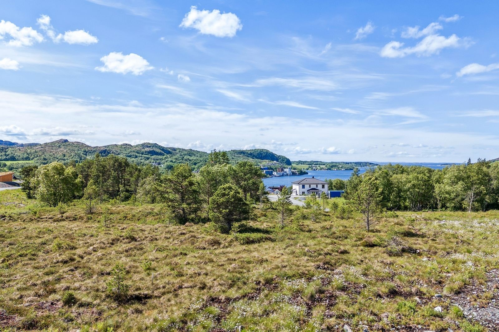 Tomtene med utsikt. Galleribilde