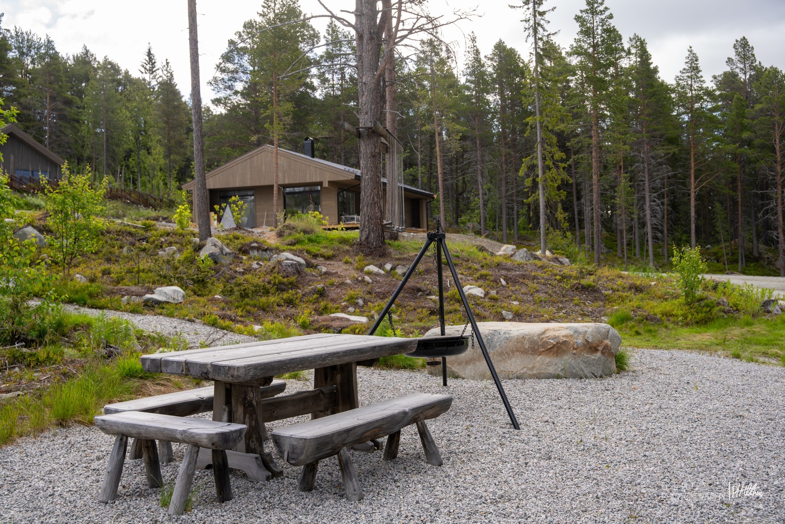 Bord og benker laget av materialer fra skog i feltet Galleribilde