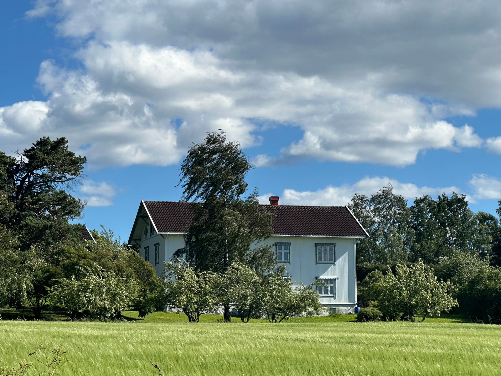 Solrikt og vestvendt på Helgøya Galleribilde