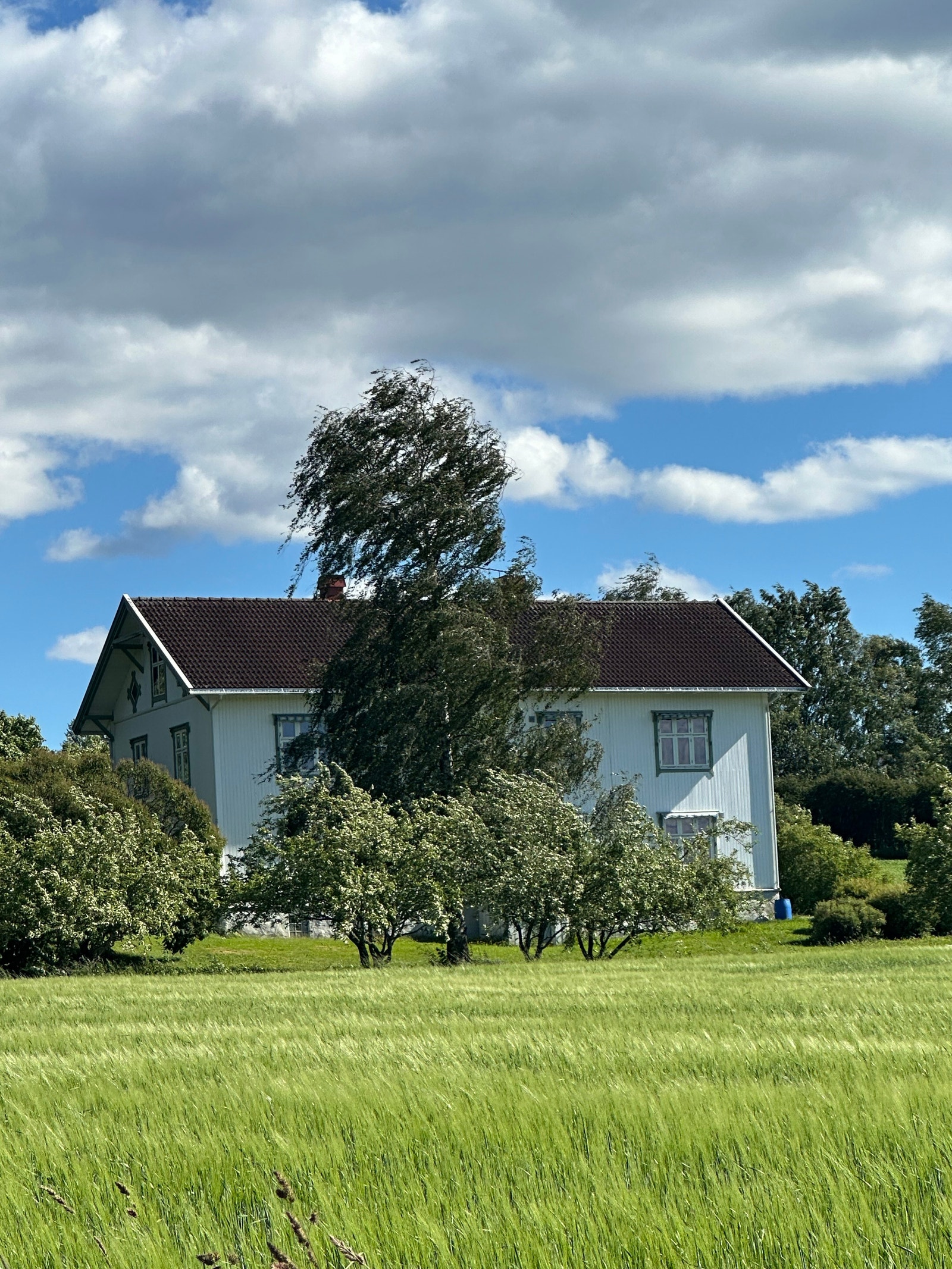 Landlig omgivelser Galleribilde
