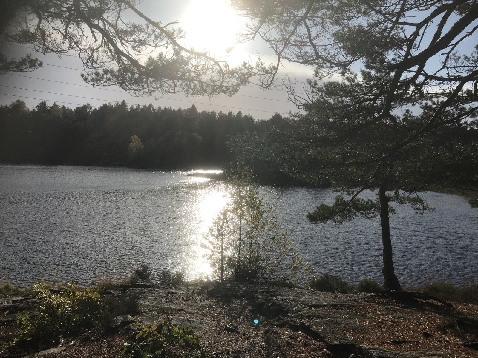 Bilde fra turområde i Jegersberg Galleribilde