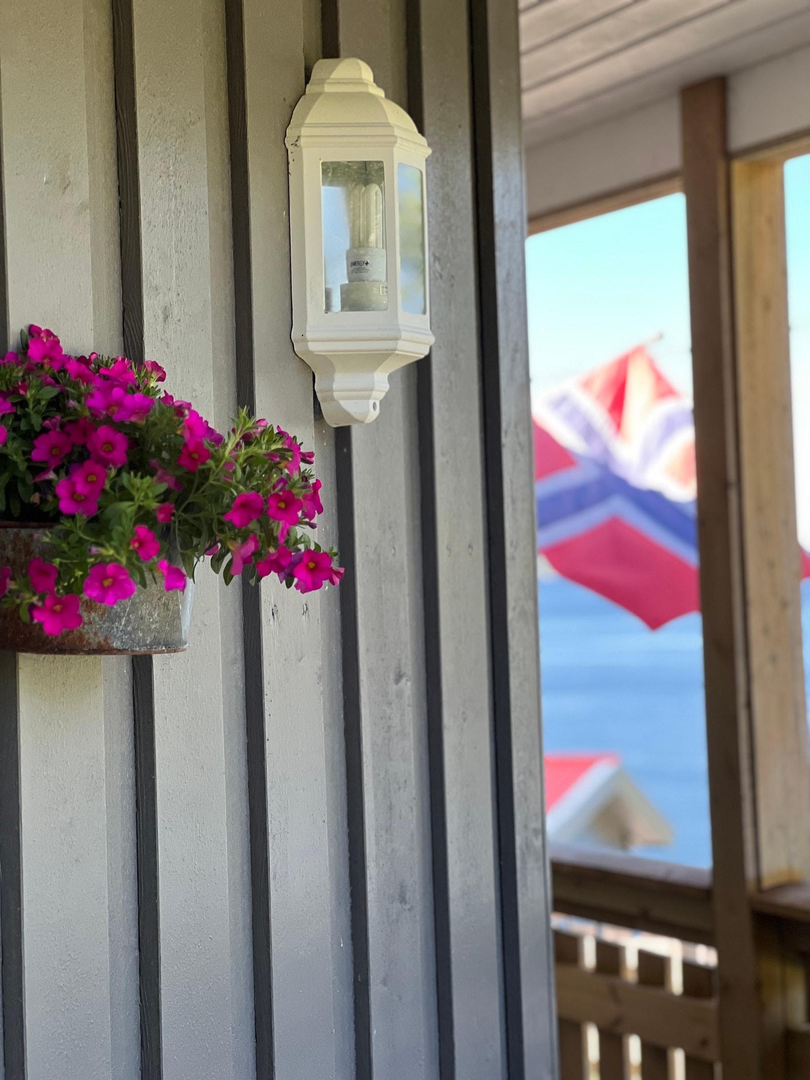 Blomster og det norske flagg Galleribilde