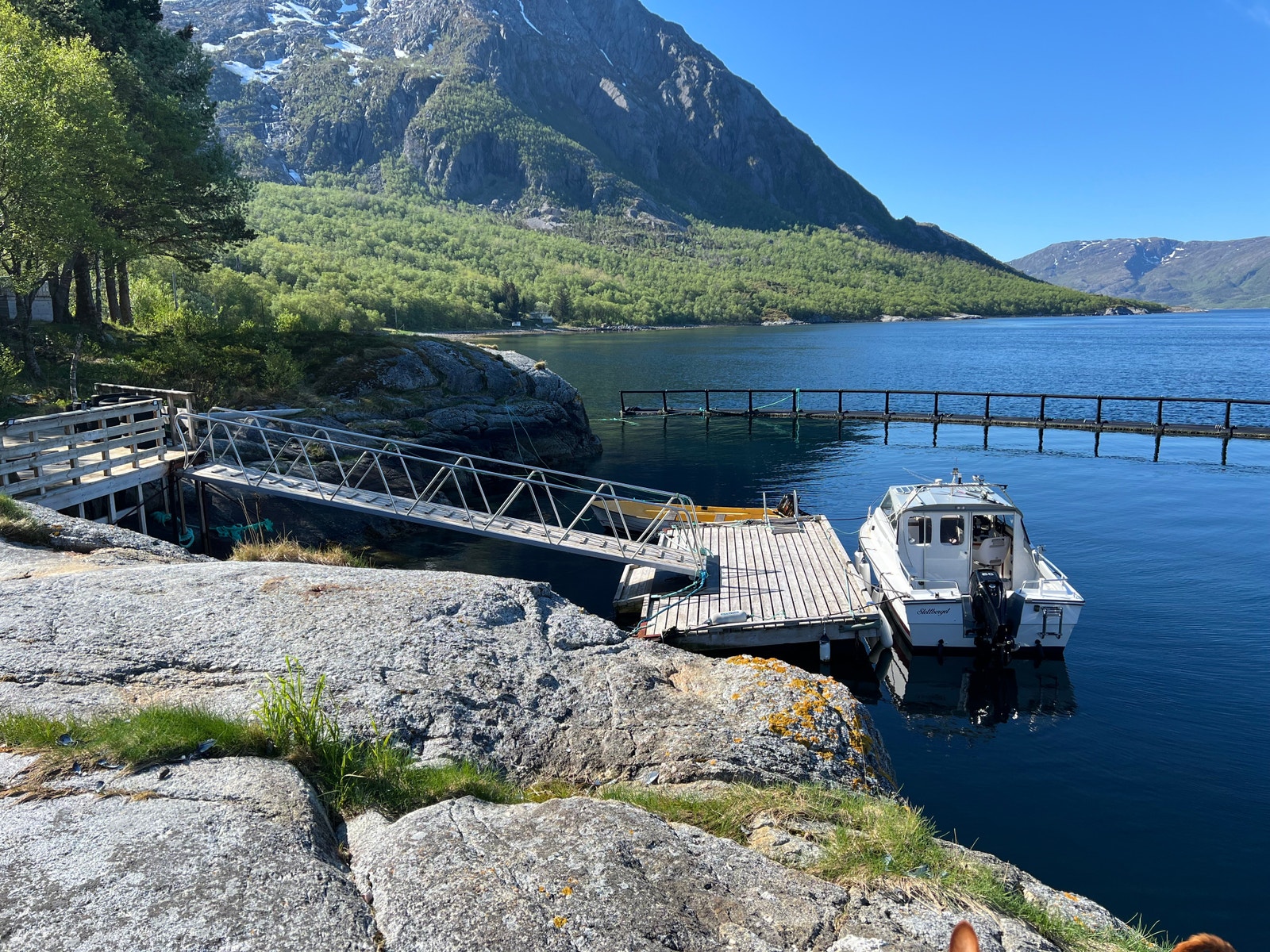 Flott plassering av flytebrygga med Andalshatten i bakgrunnen Galleribilde