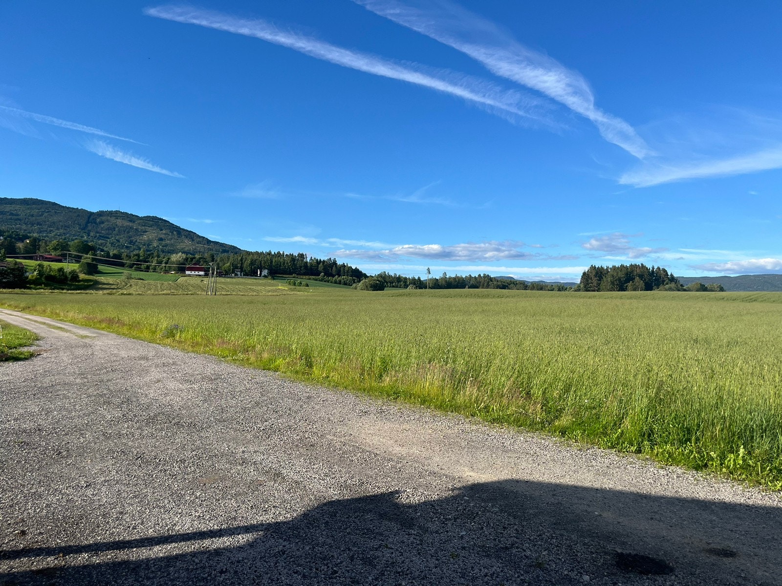 Uteområde Galleribilde