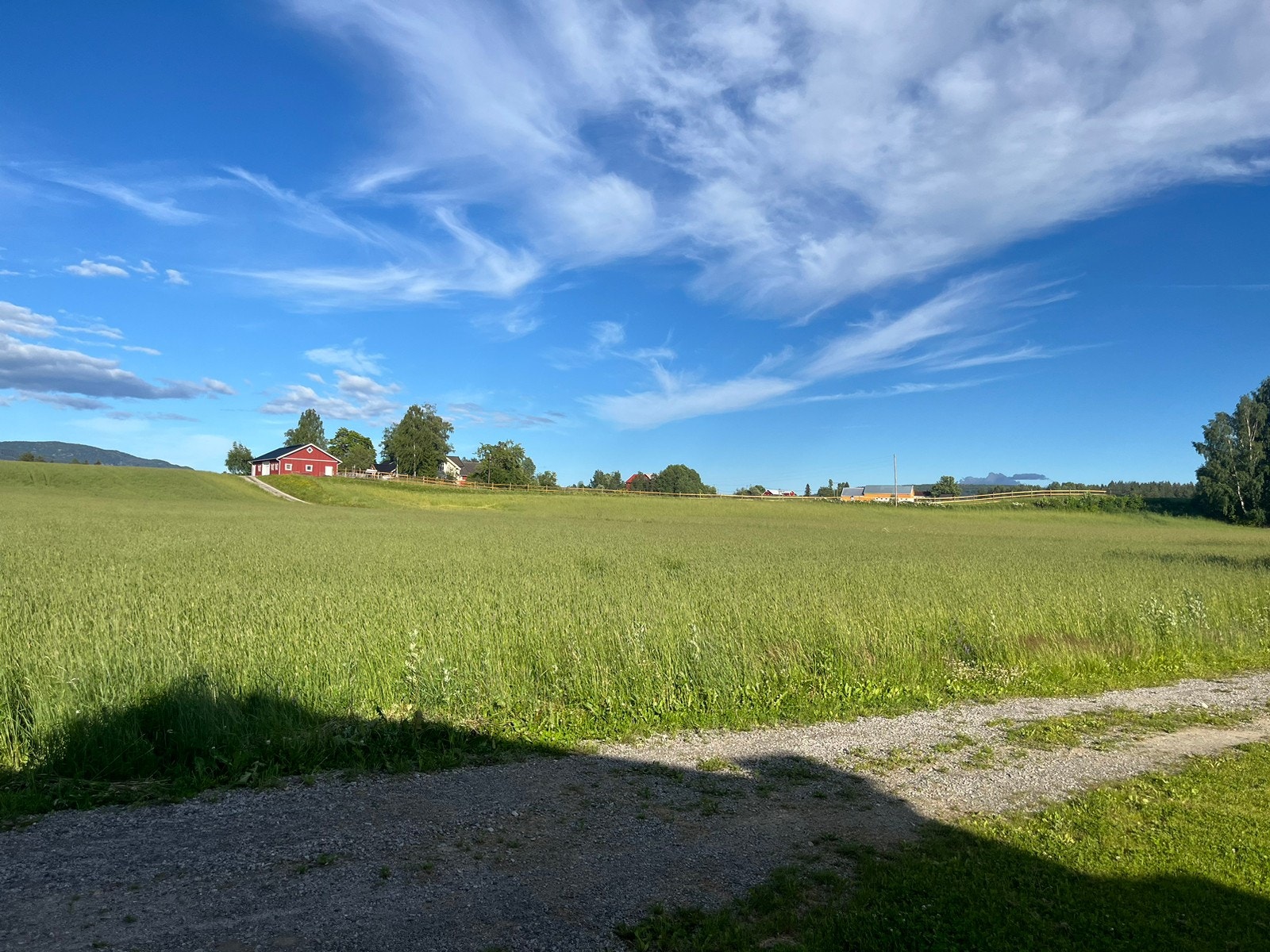 Uteområde Galleribilde