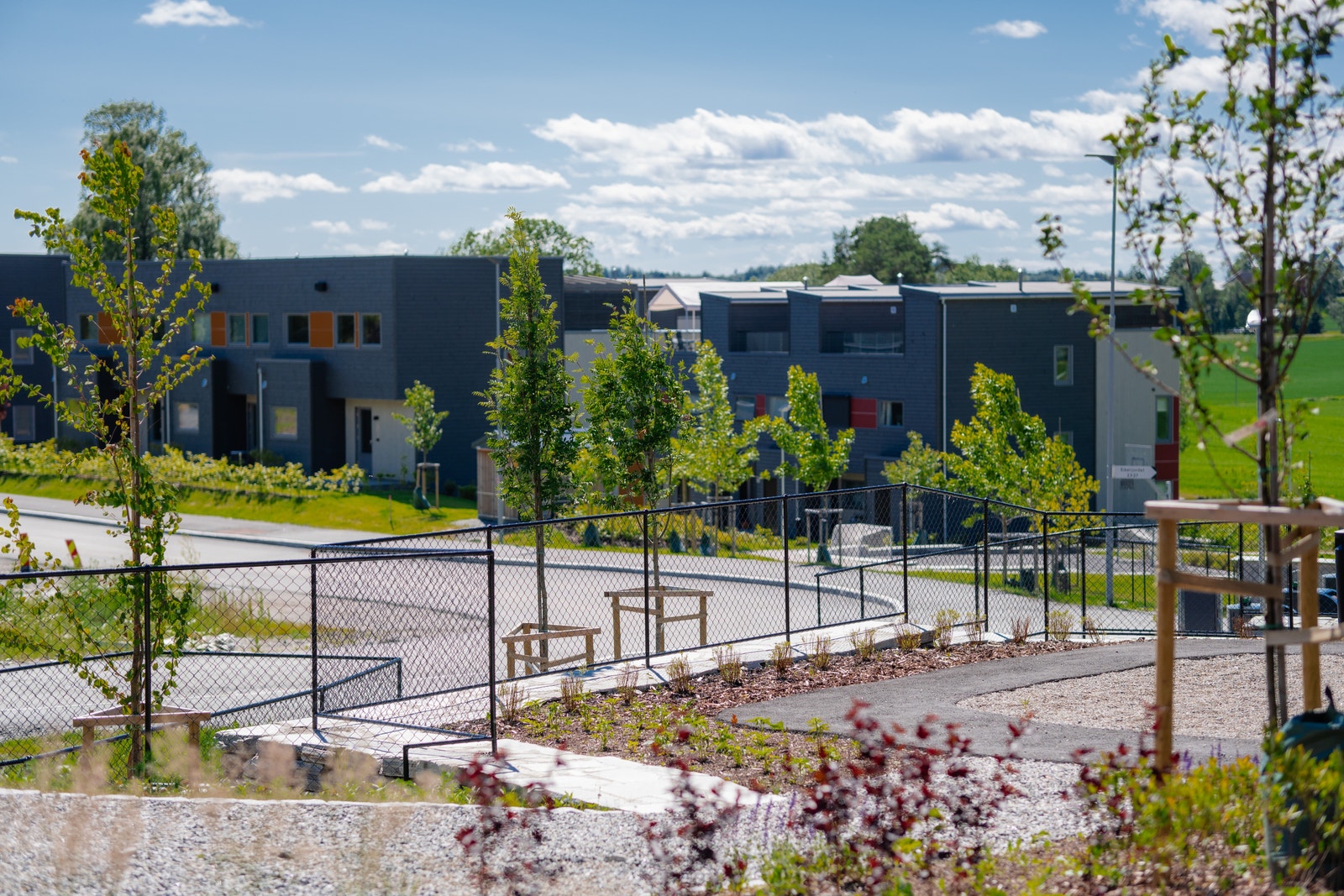 Områdebilder, 24.06.24 Galleribilde