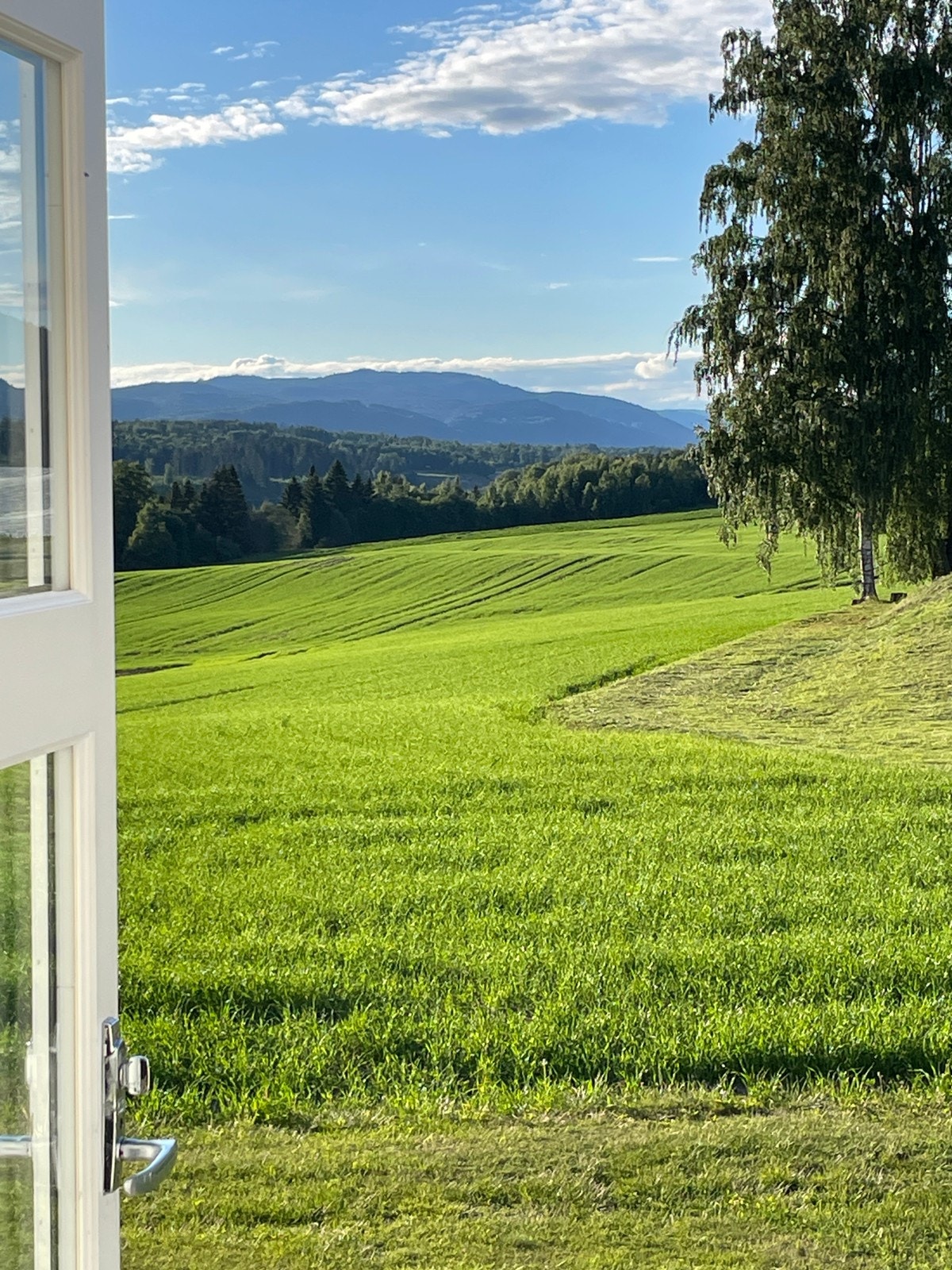 Utsikt fra verandadør 1. etasje retning nord Galleribilde