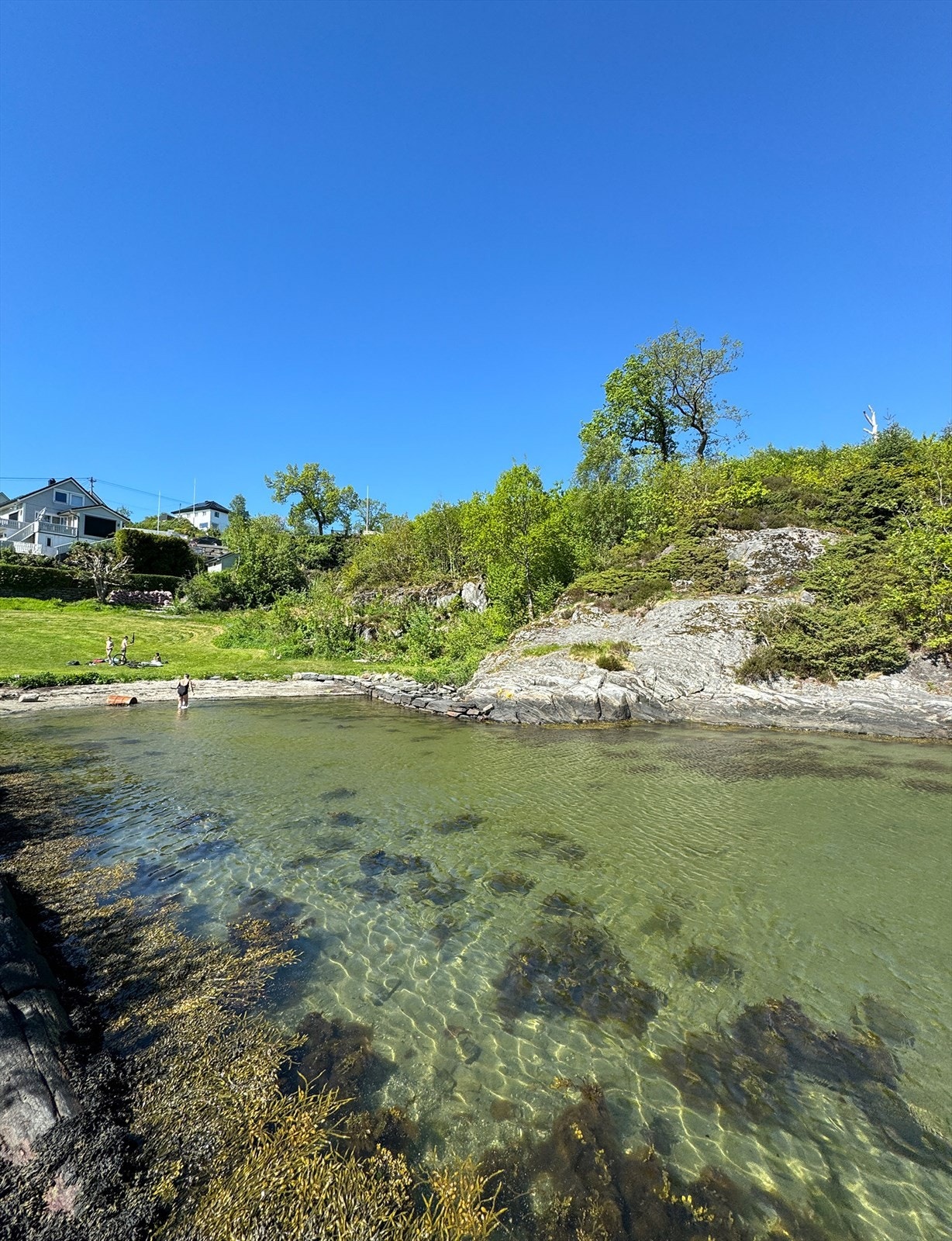 Badevika.jpg Galleribilde