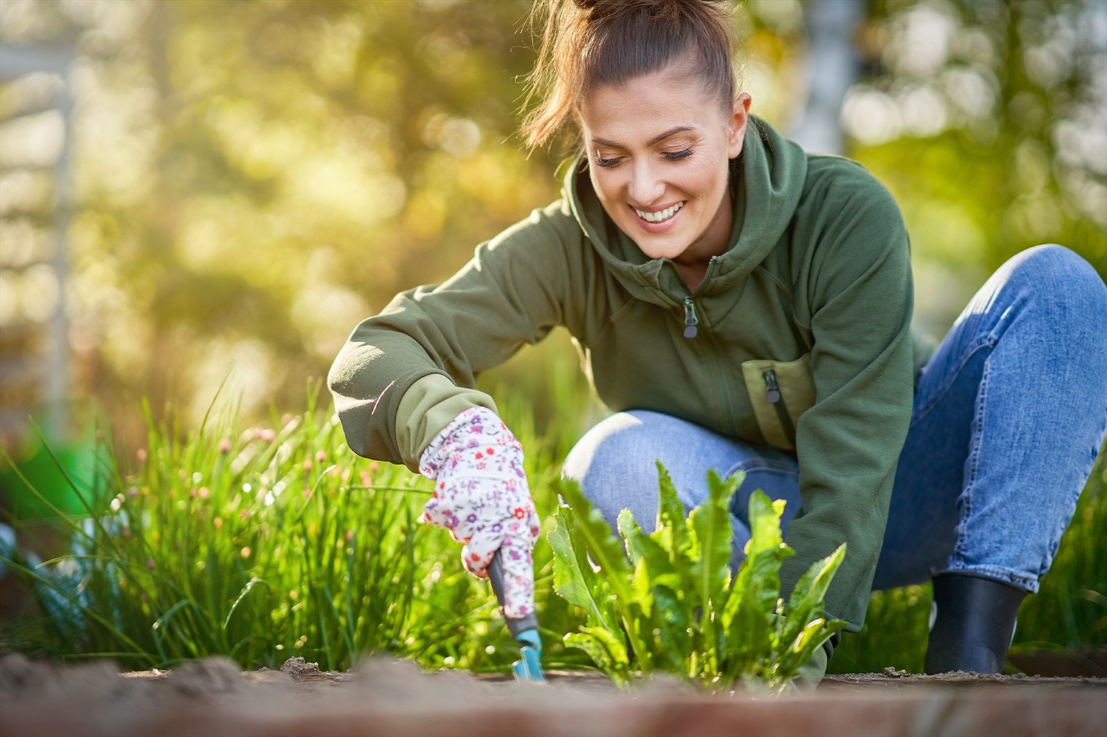 Stor, grønn og felles takhage. Galleribilde