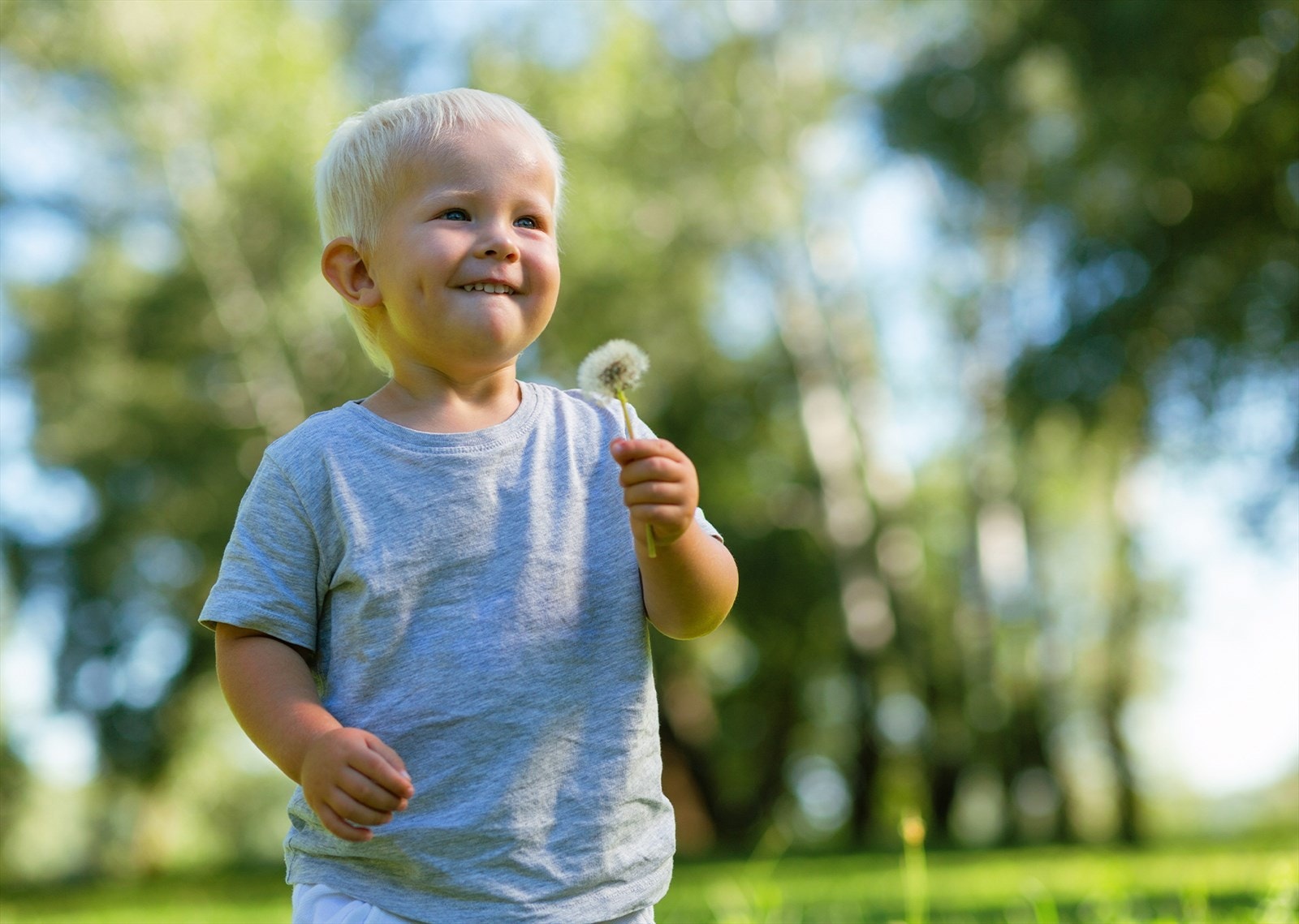 Grønne soner for store og små.jpg Galleribilde