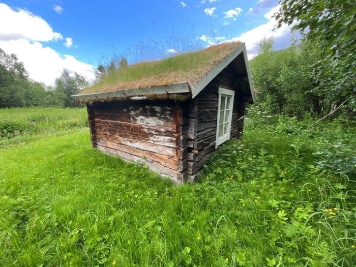 Smia fra elva og nordvest Galleribilde