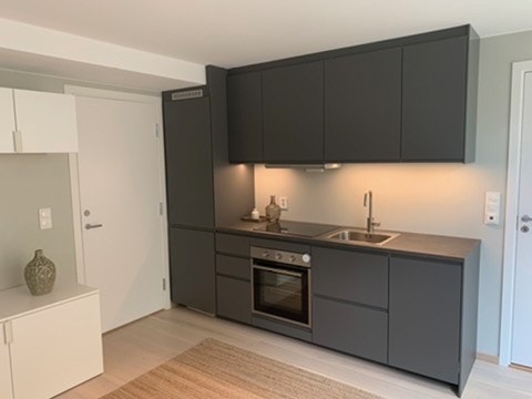 Døren ved siden av kjøkken er mot utleiers under etasje. Sperret av , ingen gjennomgang. Galleribilde