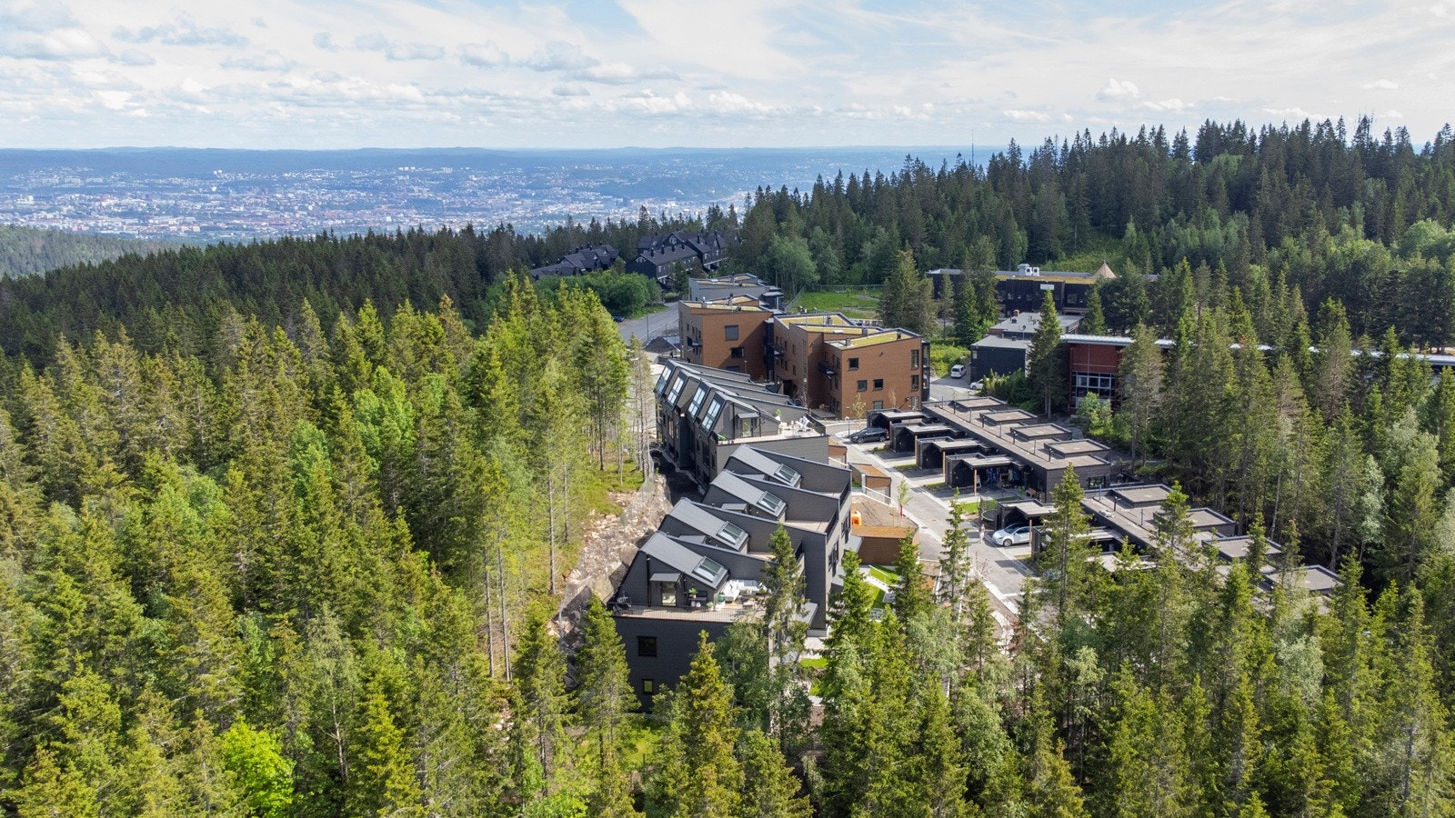 Skog omkranser blindveien boligene ligger i og slik er det ferdig regulert. Markagrensen er rett over veien. Galleribilde