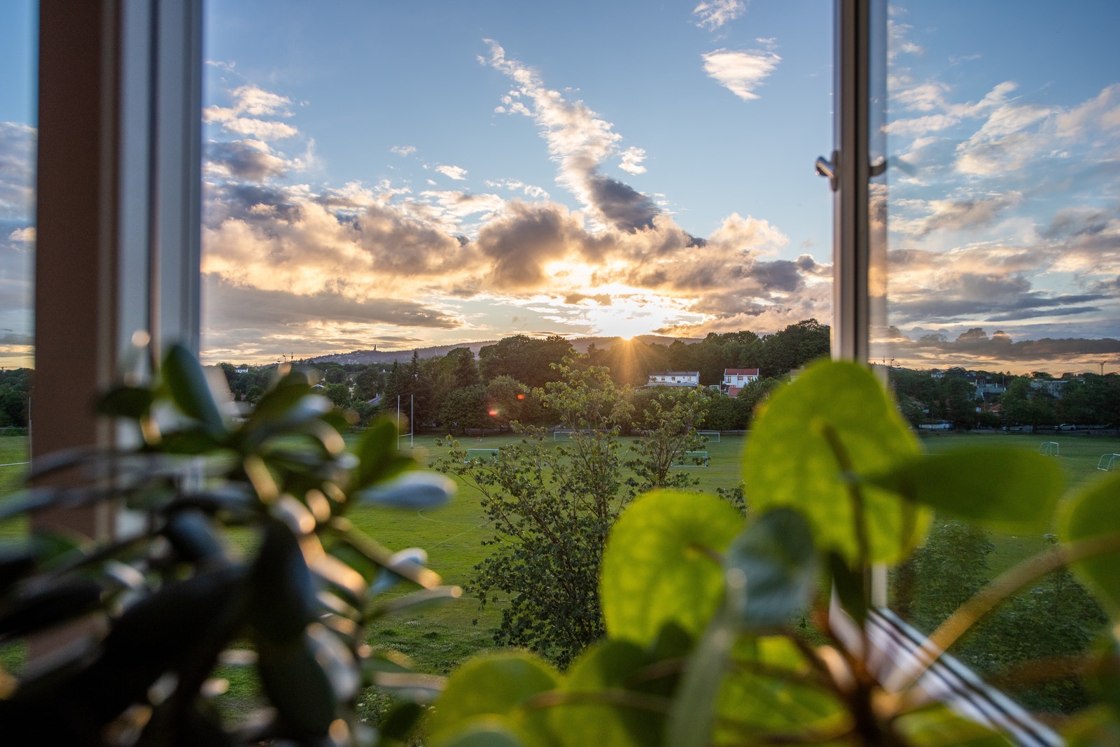 Fantastisk utsikt Galleribilde