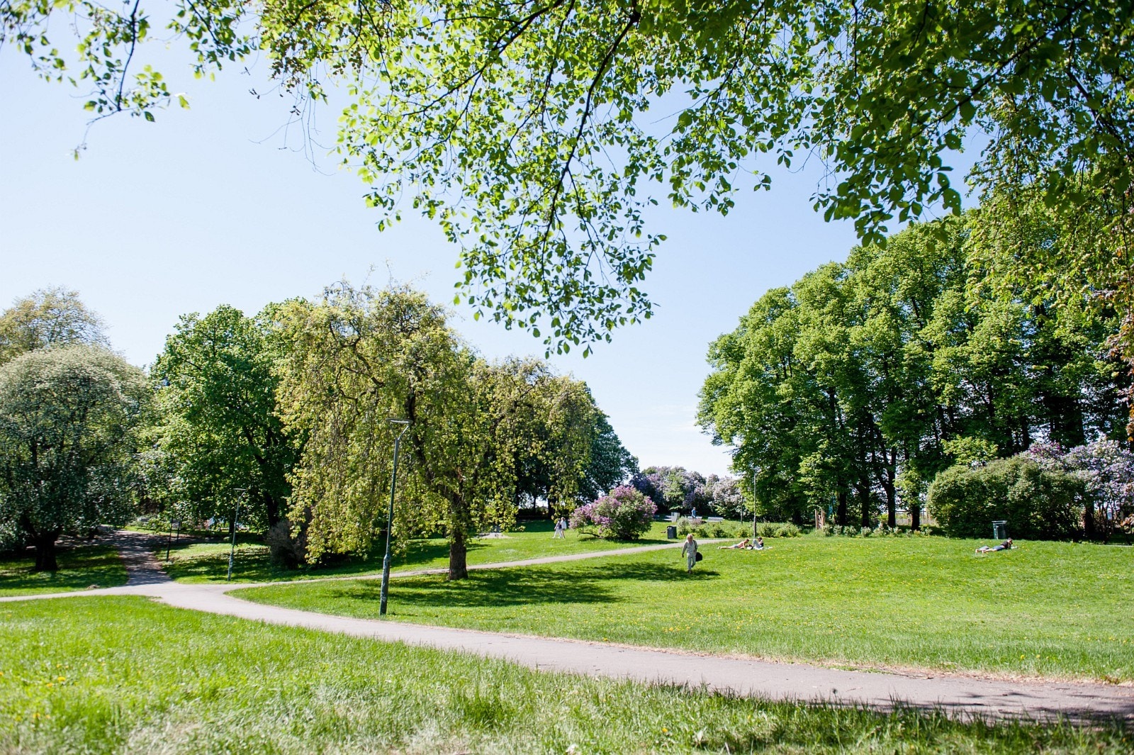 Vakre og frodige Bjølsenparken like ved Galleribilde