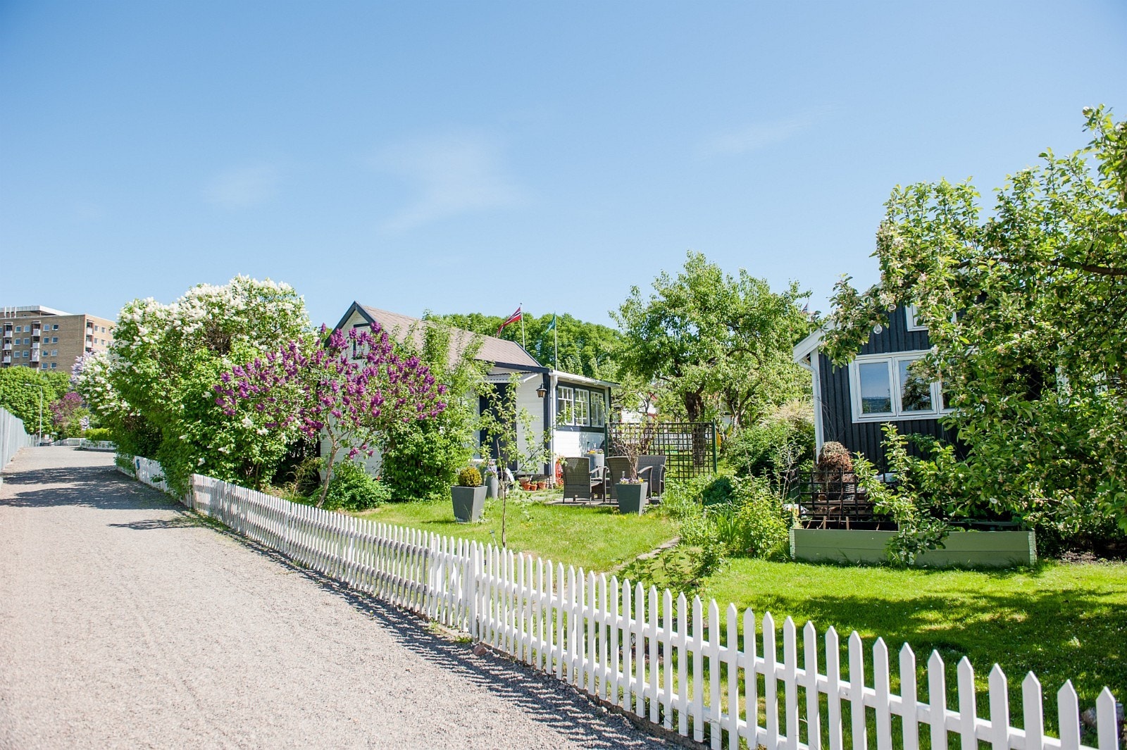 Hjemmets kolonihager rett ved Galleribilde