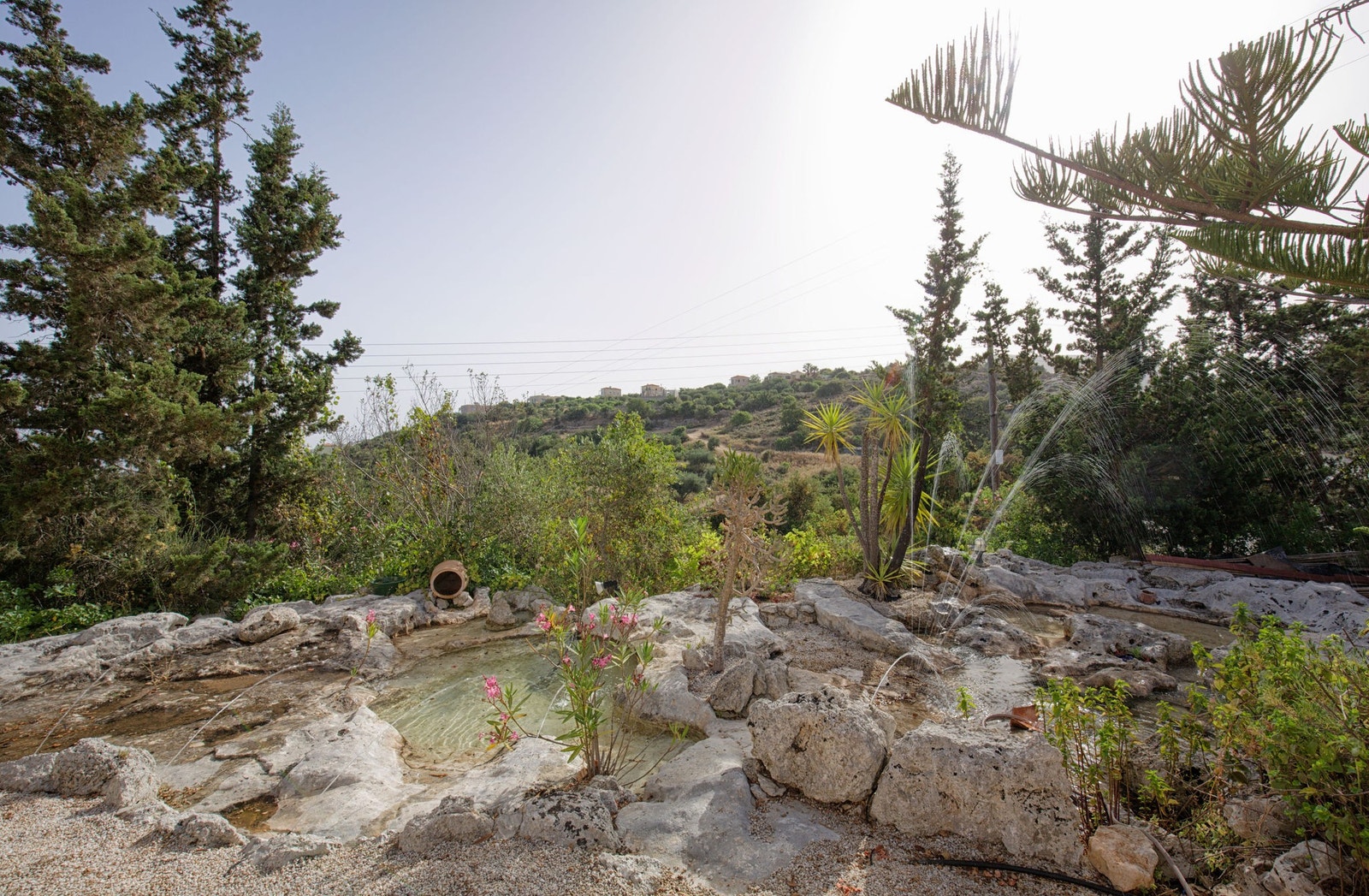 Hage med dammer Galleribilde