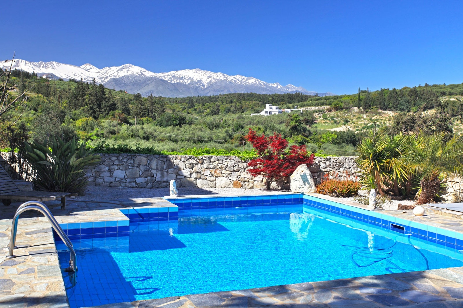 Basseng med utsikt til fjellene Galleribilde