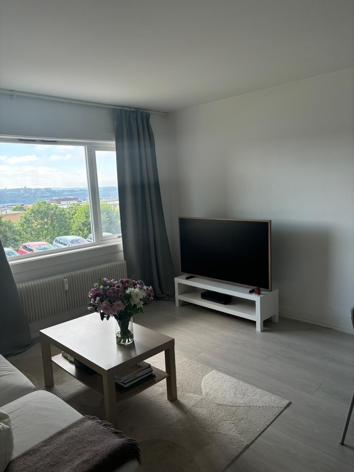 Stue Galleribilde