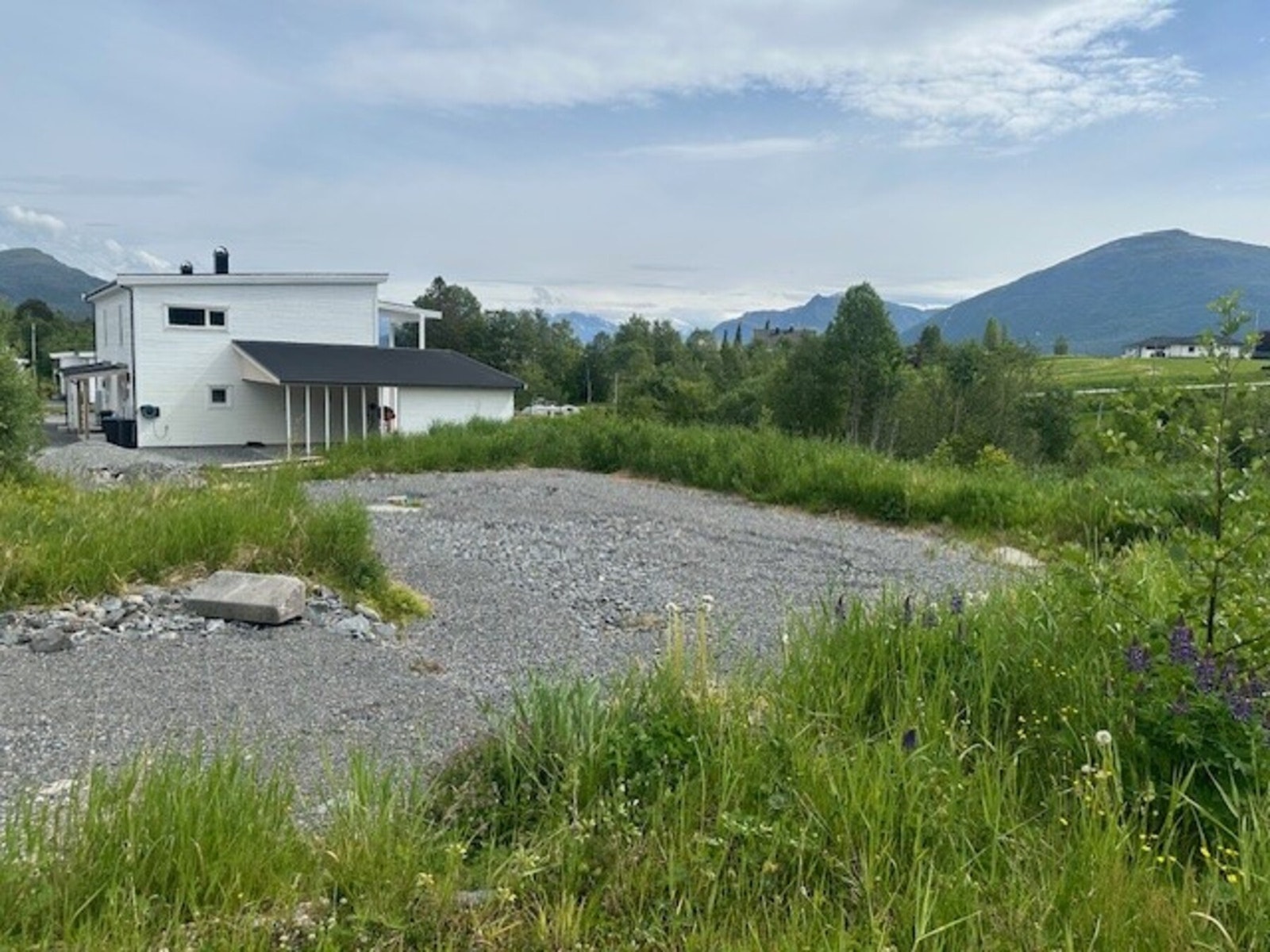 Flat og fin tomt Galleribilde