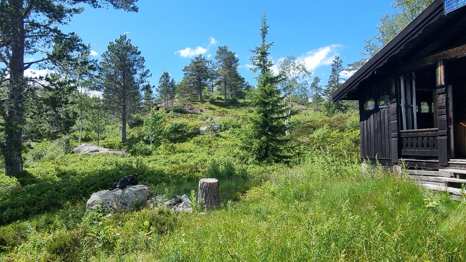 Utenfor hytta Galleribilde