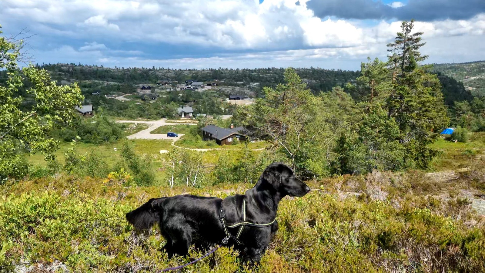 Ved hytta, p-plass like ved, og hyttefelt mot øst bakover I bildet Galleribilde