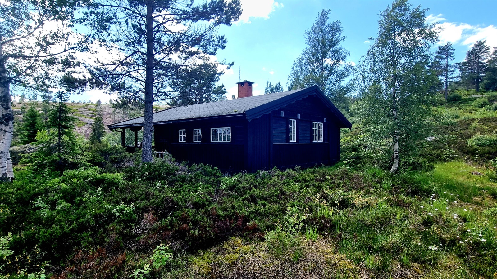 Hytta, sommer Galleribilde