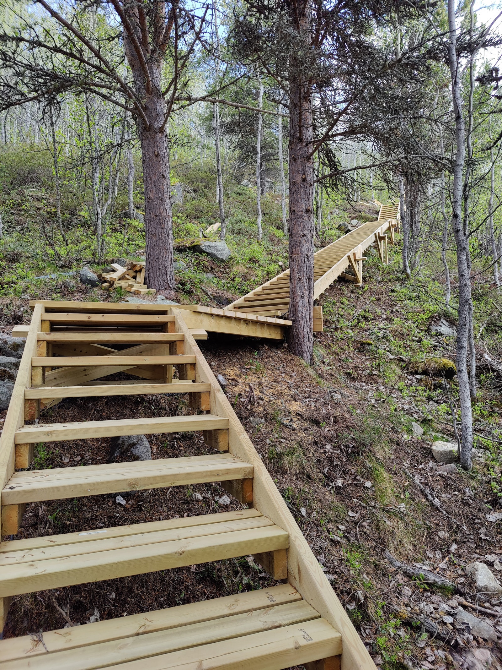 Hovdetrappa, som får ca 1000 trinn før høsten, ligger bare noen hundre meter mot Geilo Galleribilde