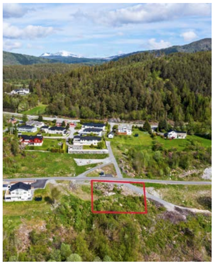 Foto: Notar Galleribilde