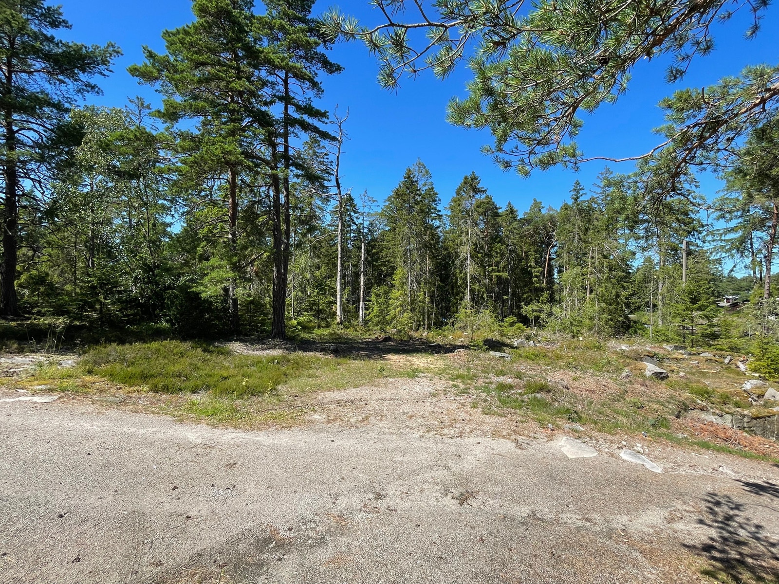 Tomt nr.13 Galleribilde