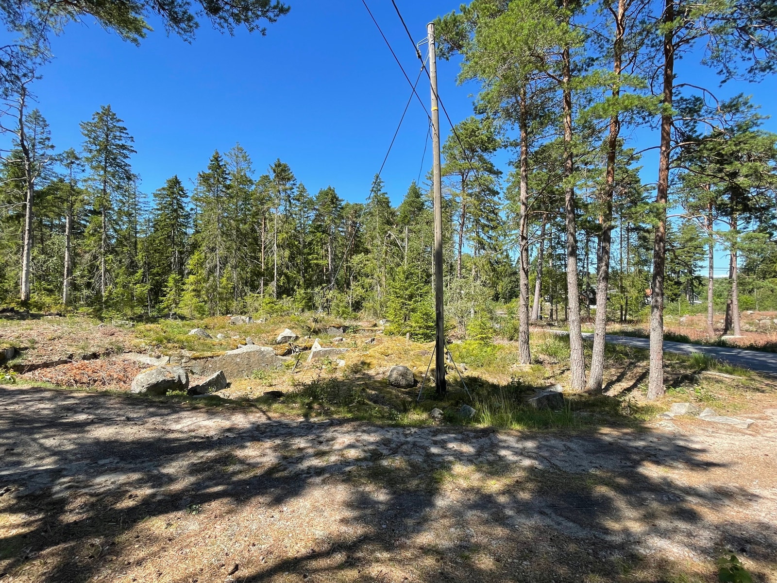 Tomt nr.14 Galleribilde