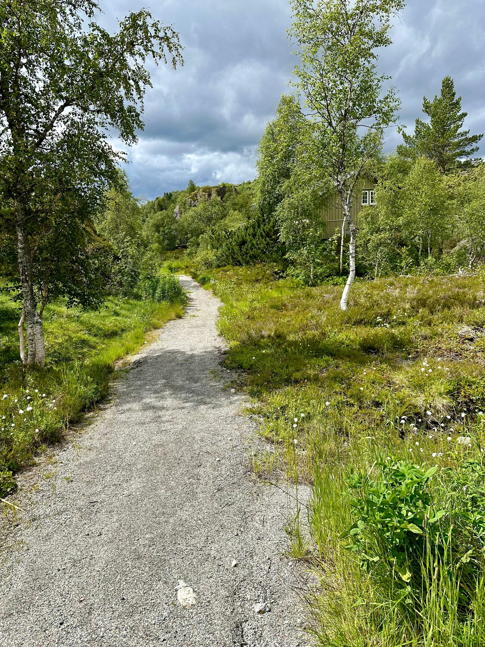 Sti fra parkeringsplass til hytta Galleribilde