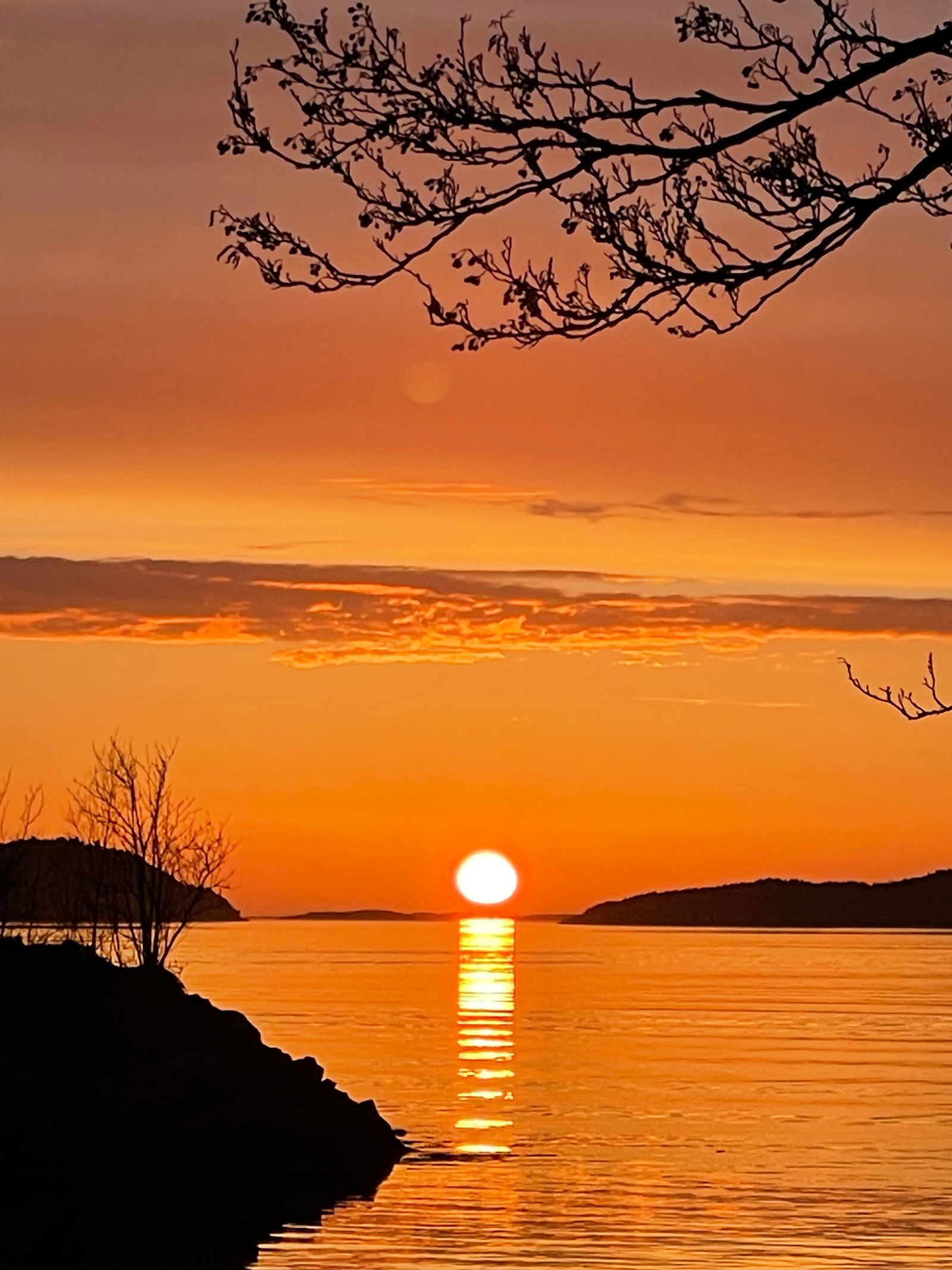 Solnedgang fra hytta Galleribilde