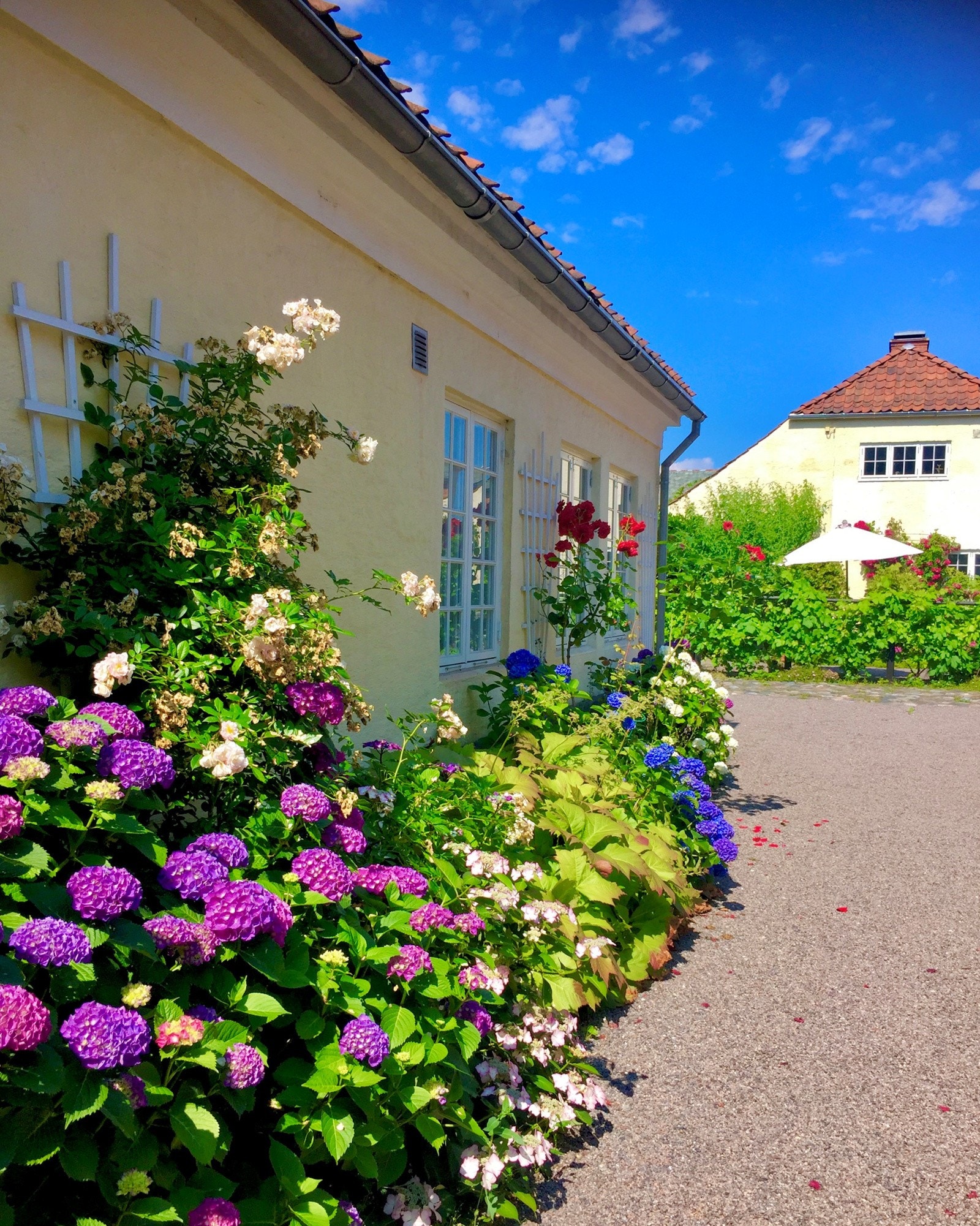Selgers bilder Galleribilde
