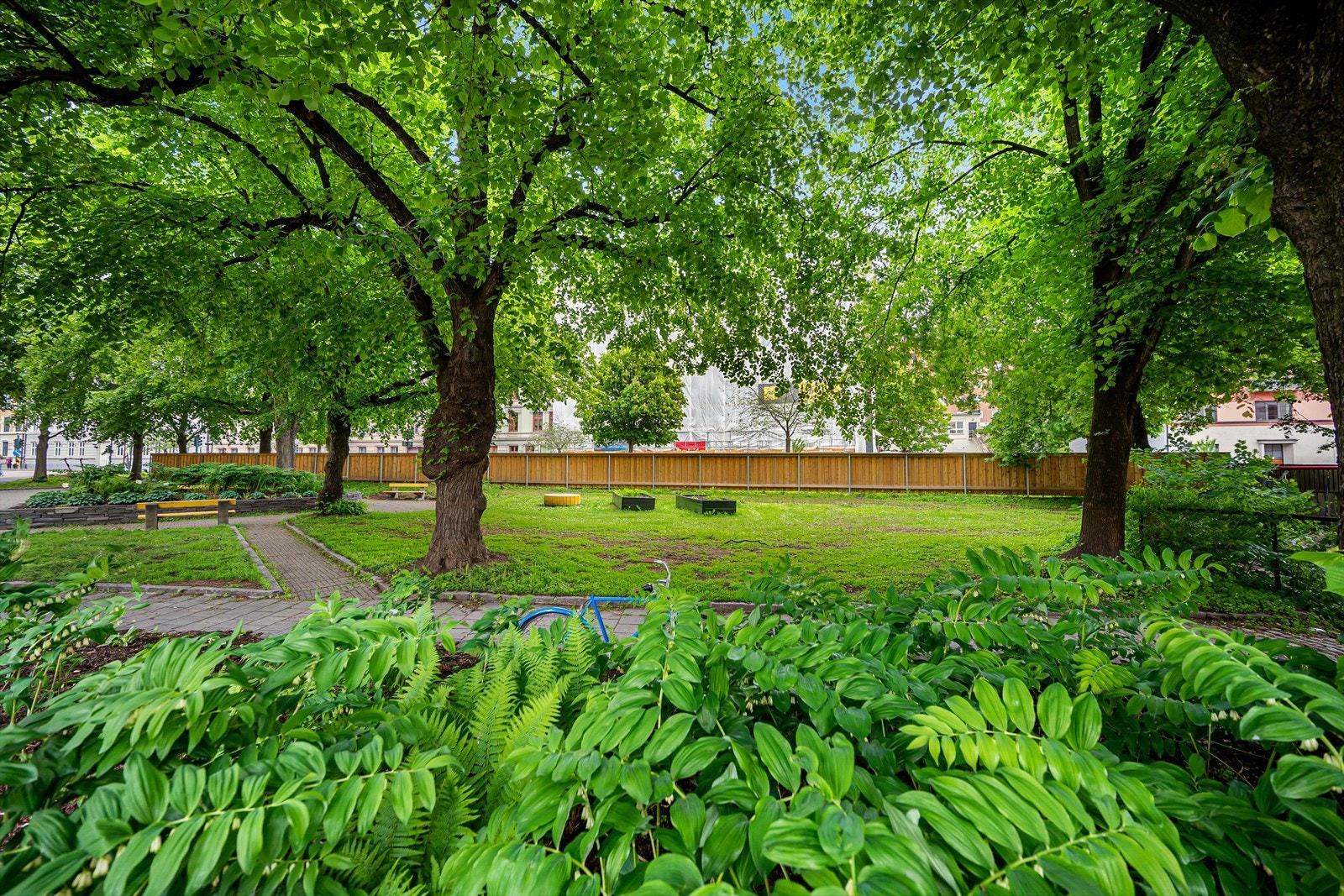 Botsparken Galleribilde