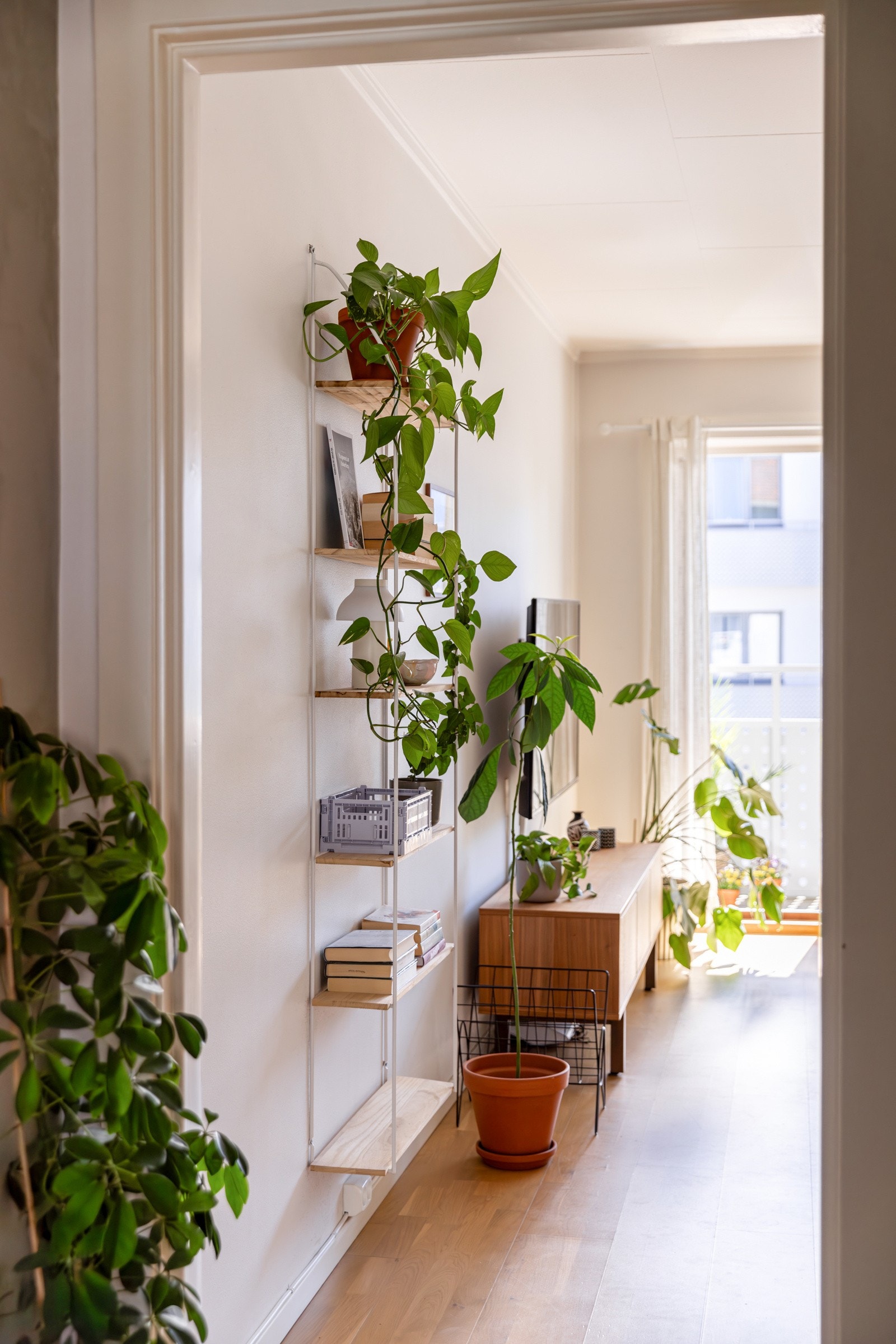 De store vindusflatene og utgangen til balkongen åpner opp rommet og slippet lyset inn. Galleribilde