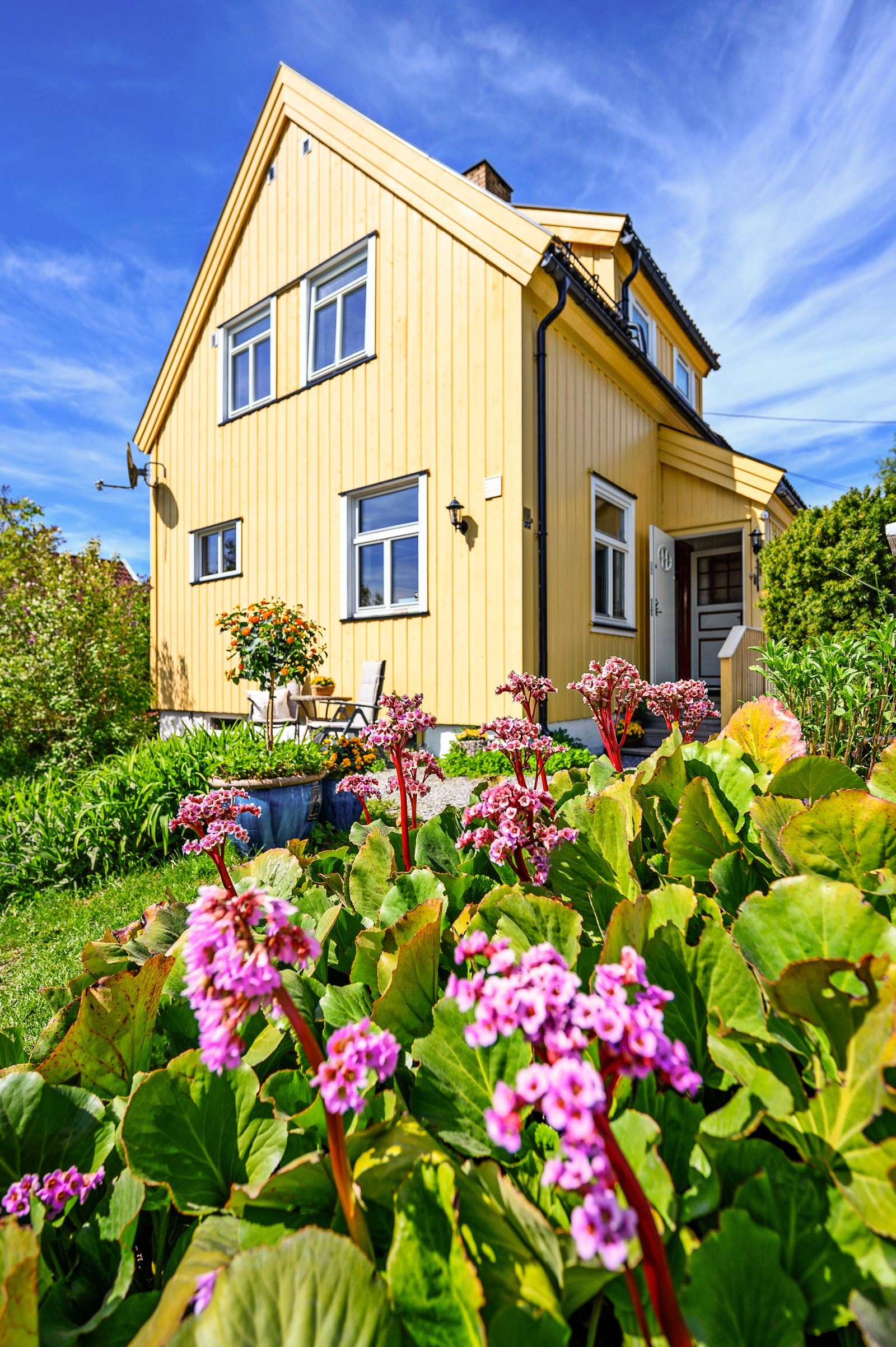 Hagen er pent beplantet med diverse blomster og bærbusker. Galleribilde