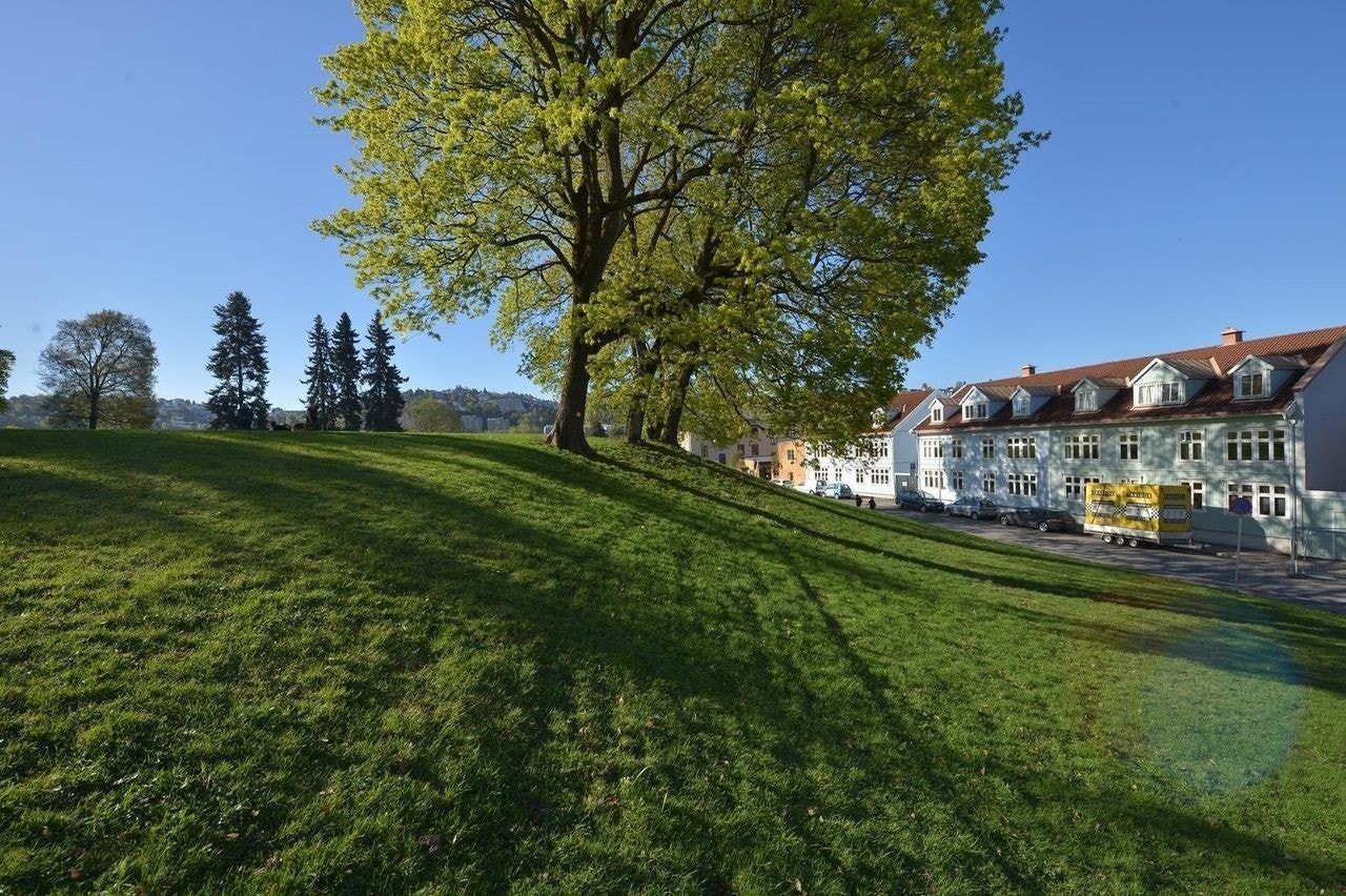 Få minutter unna leiligheten finner du Vålerenga park. Galleribilde