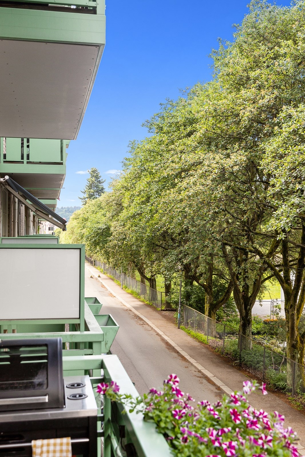 Her er det gode solforhold samt flott utsyn over botanisk hage Galleribilde