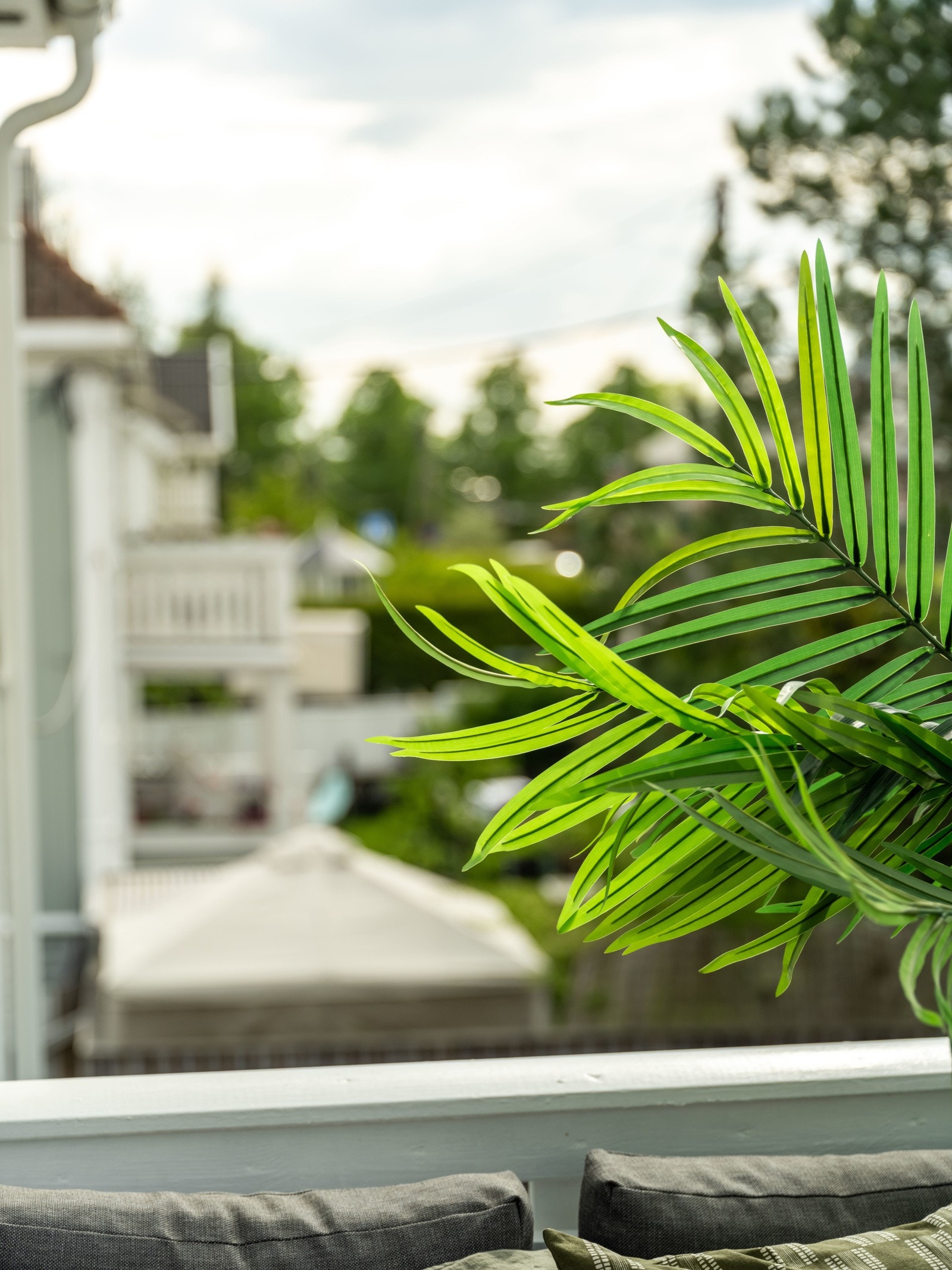 Sees vi? Galleribilde