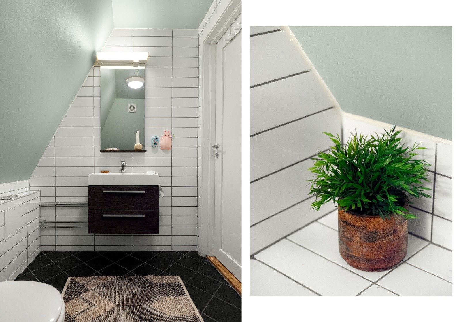 For å virkelig få deg ut på glattisen frister vi deg med denne bitte lille planten. Galleribilde