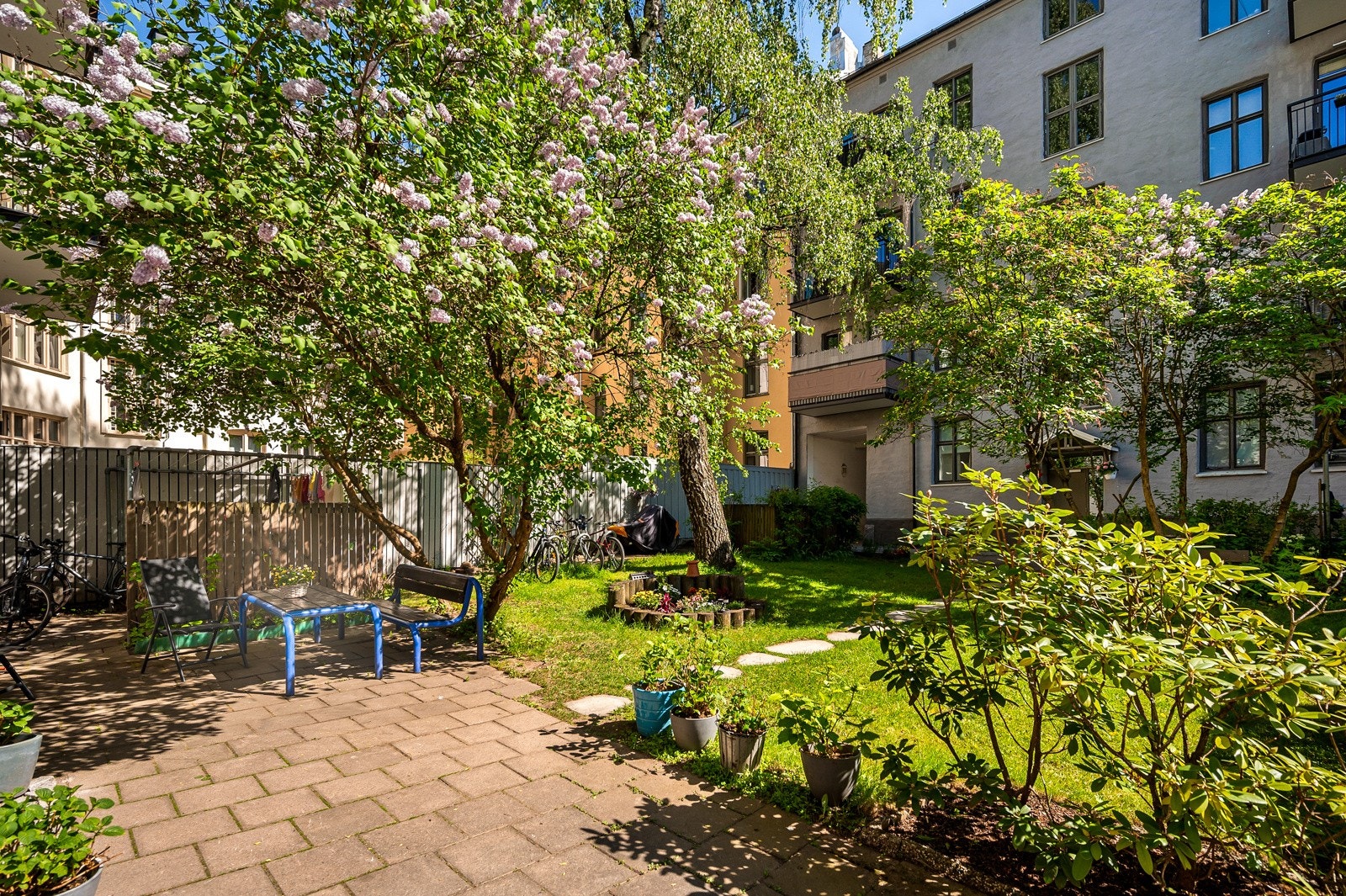 Be venner og familie på en hyggelig ettermiddag i bakgården! Galleribilde