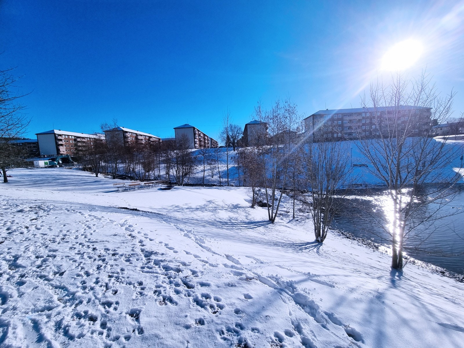 Vinter i Bjerkedalen Park. Galleribilde